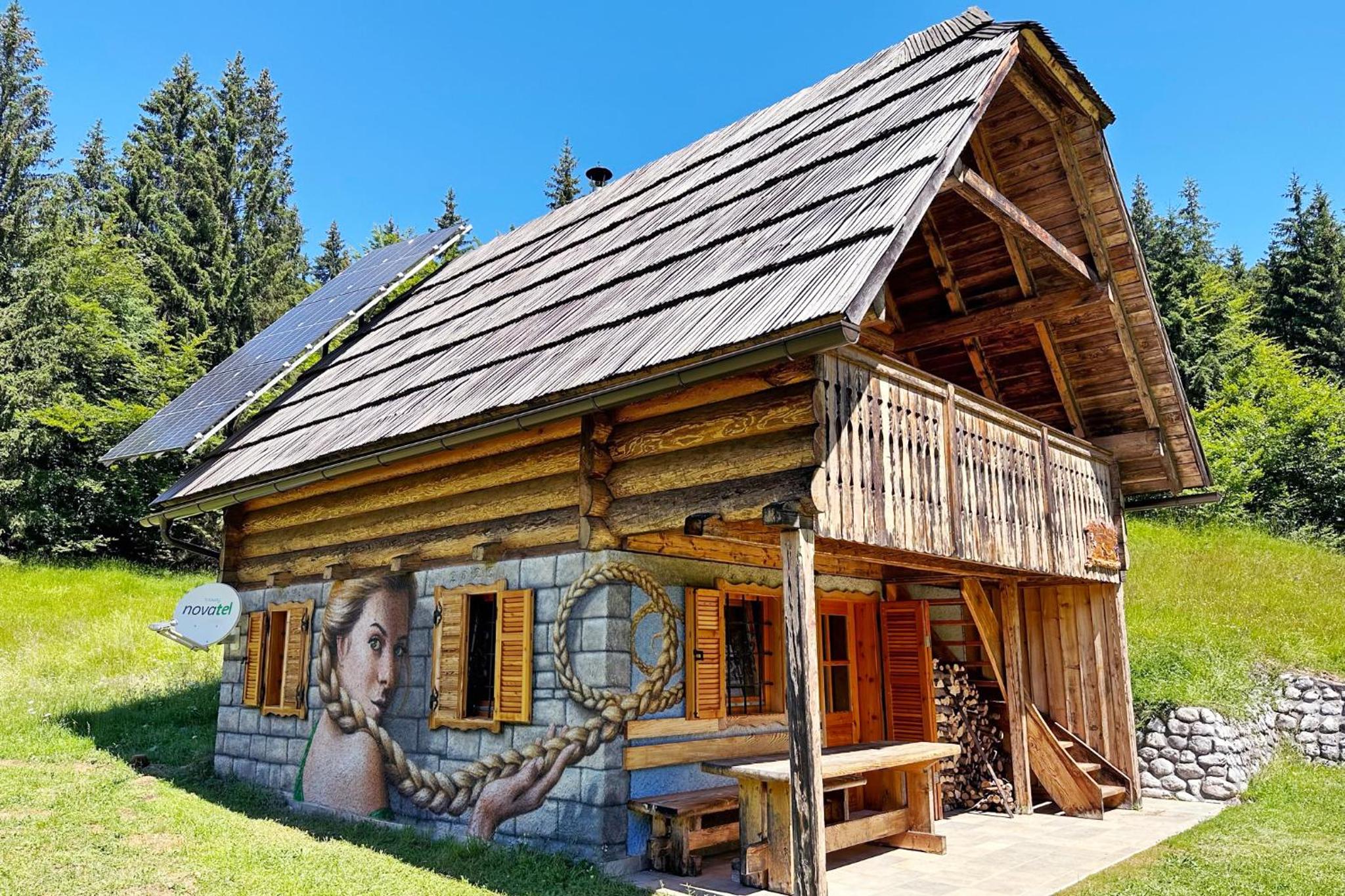 Apartment in Chalet Goldilocks