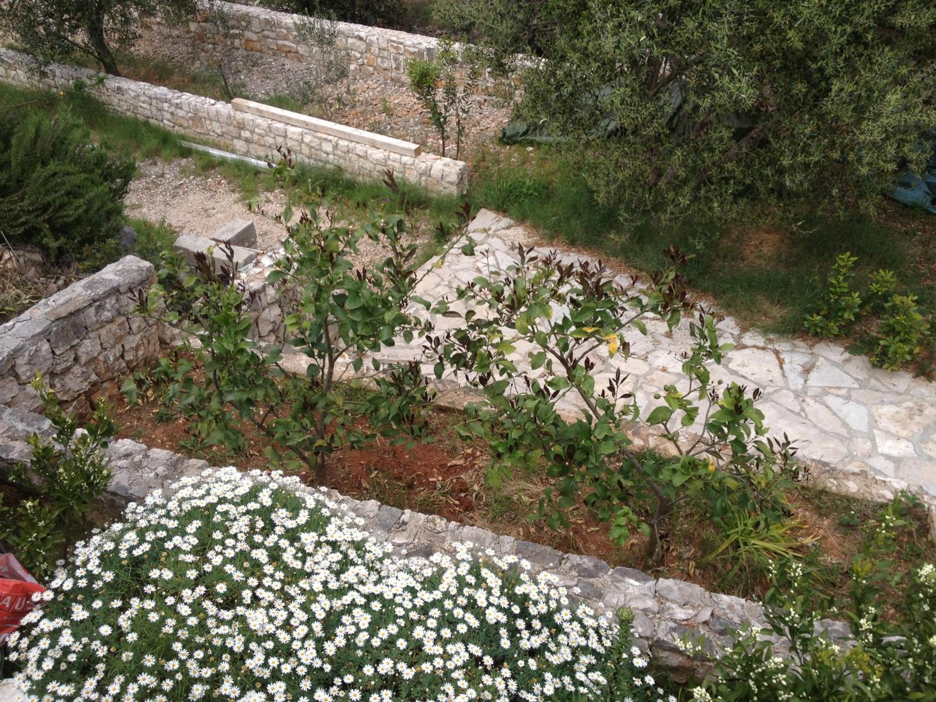 Photo 56