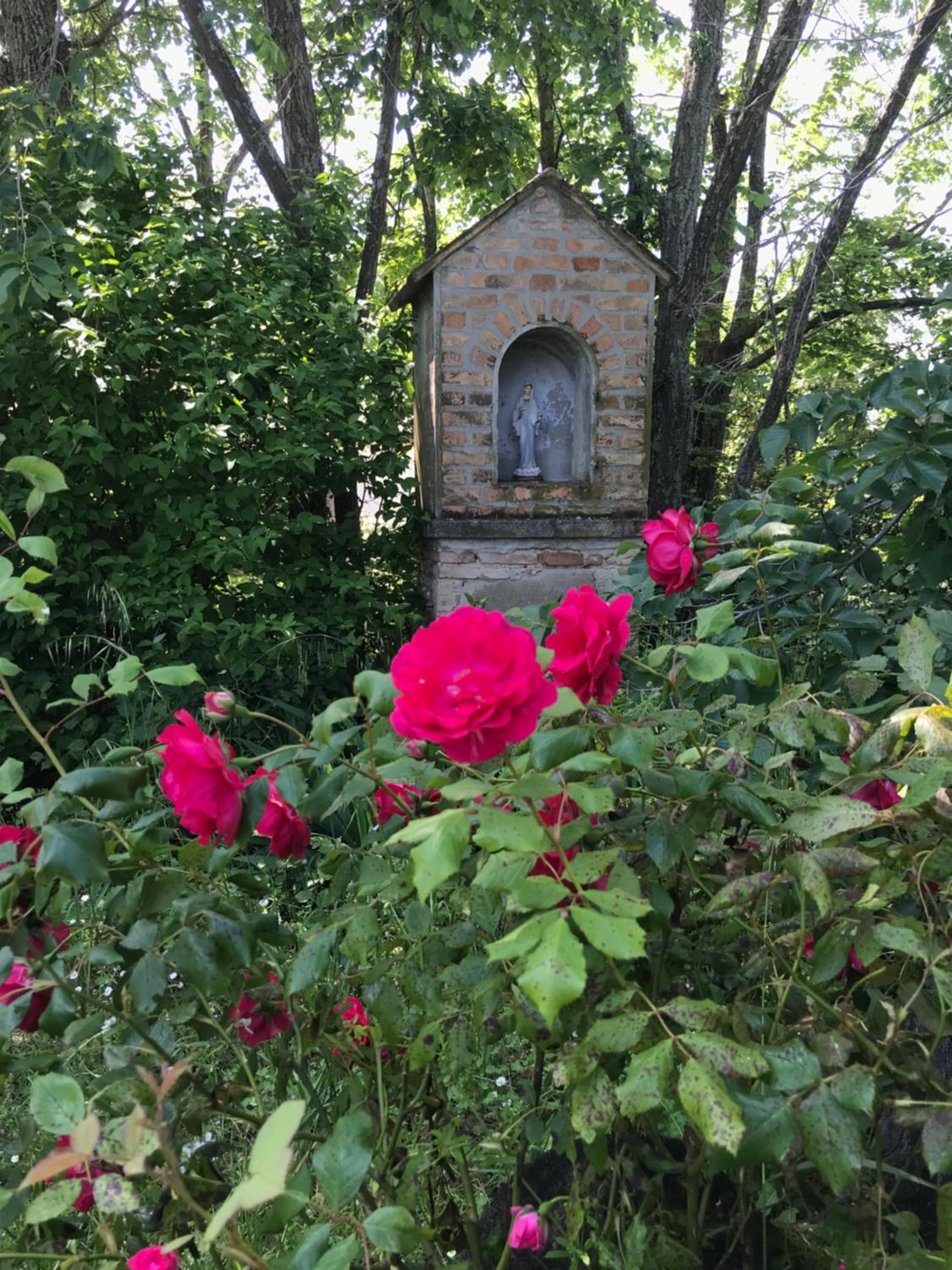 Photo 21