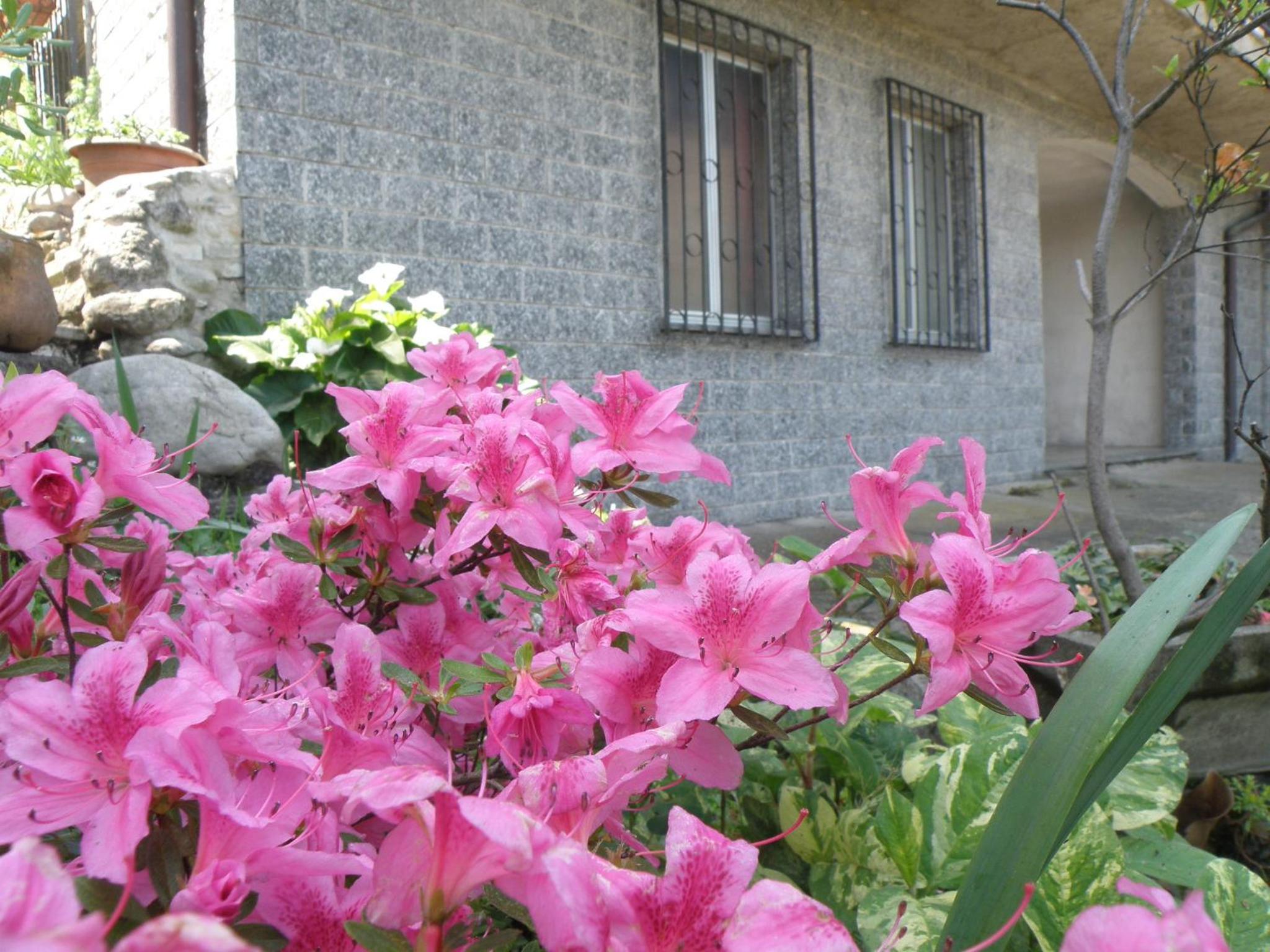 Photo 44