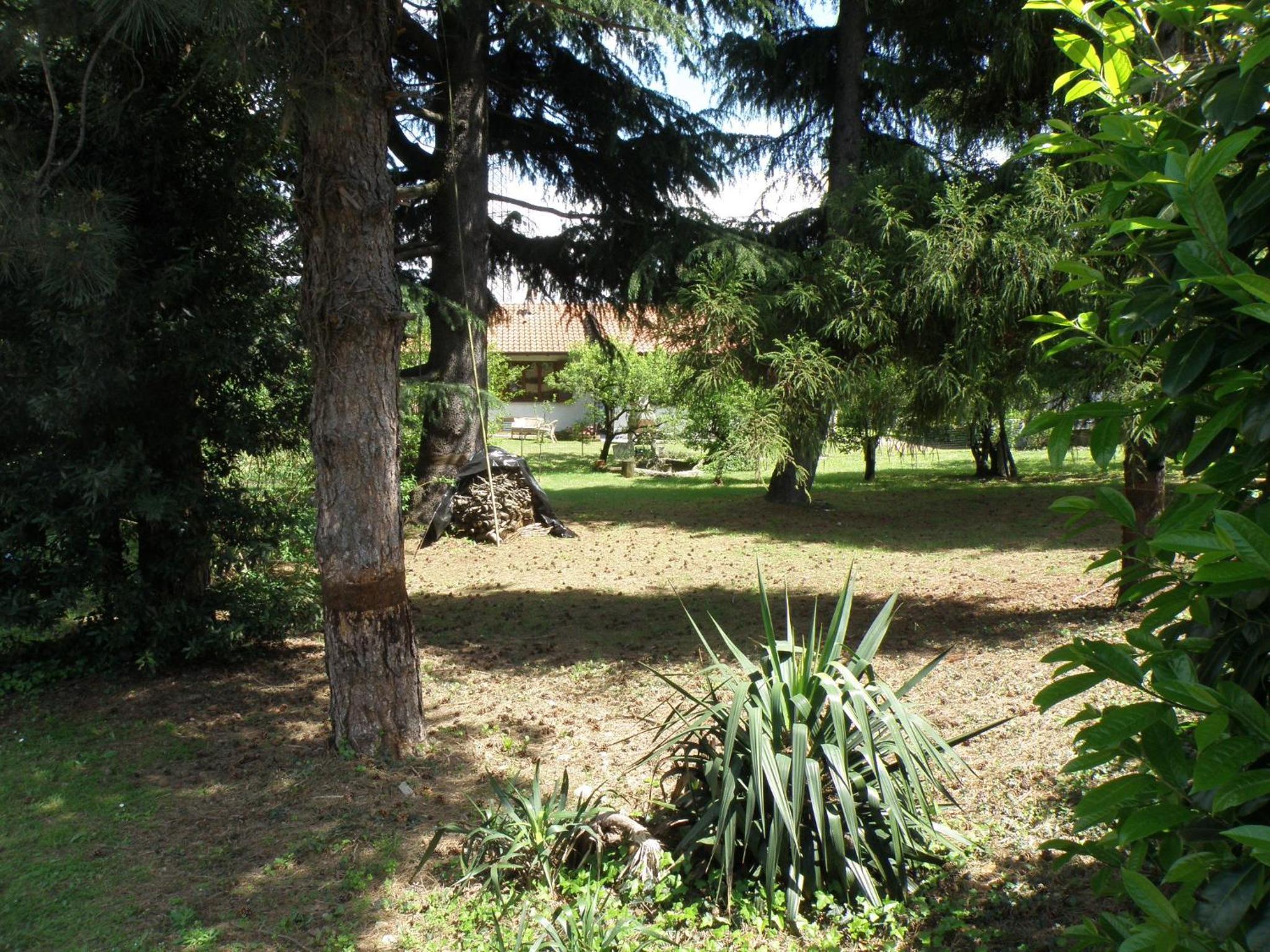 Photo 45