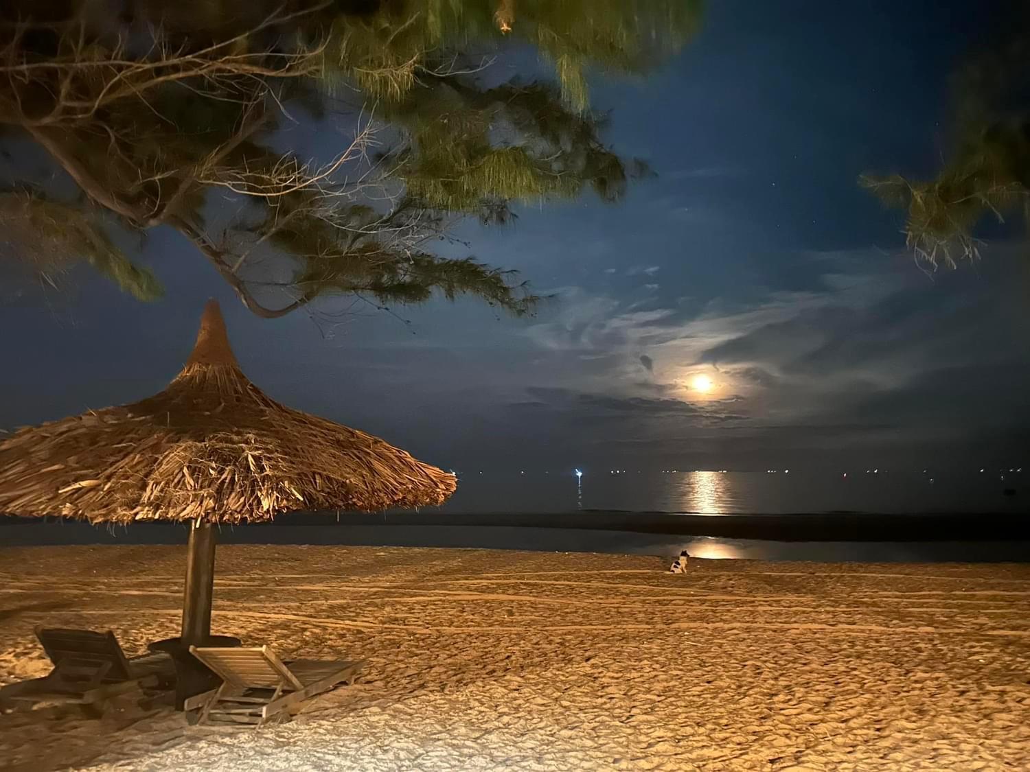 Orchid Boutique Beach Resort view 3