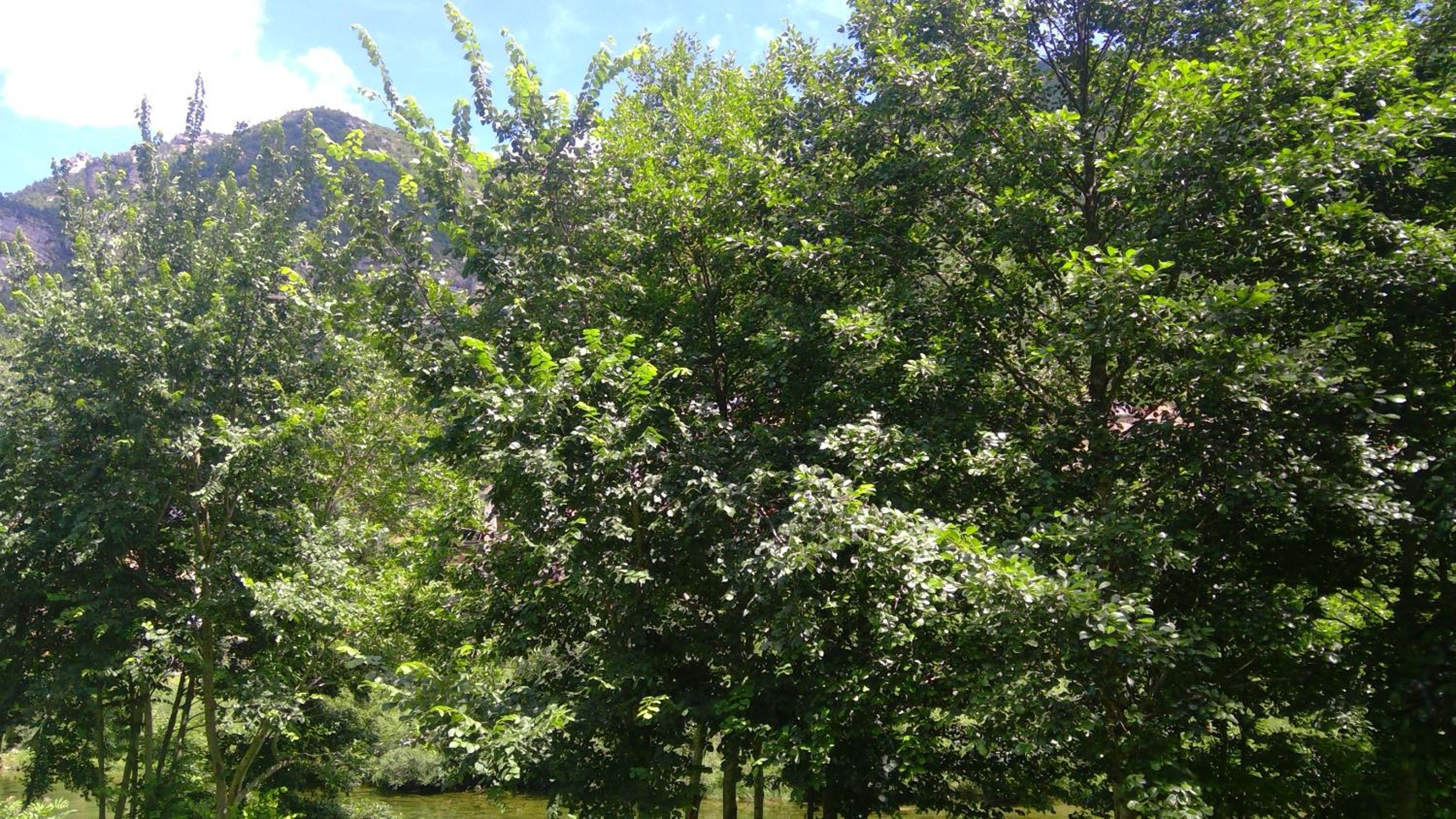 Photo 26