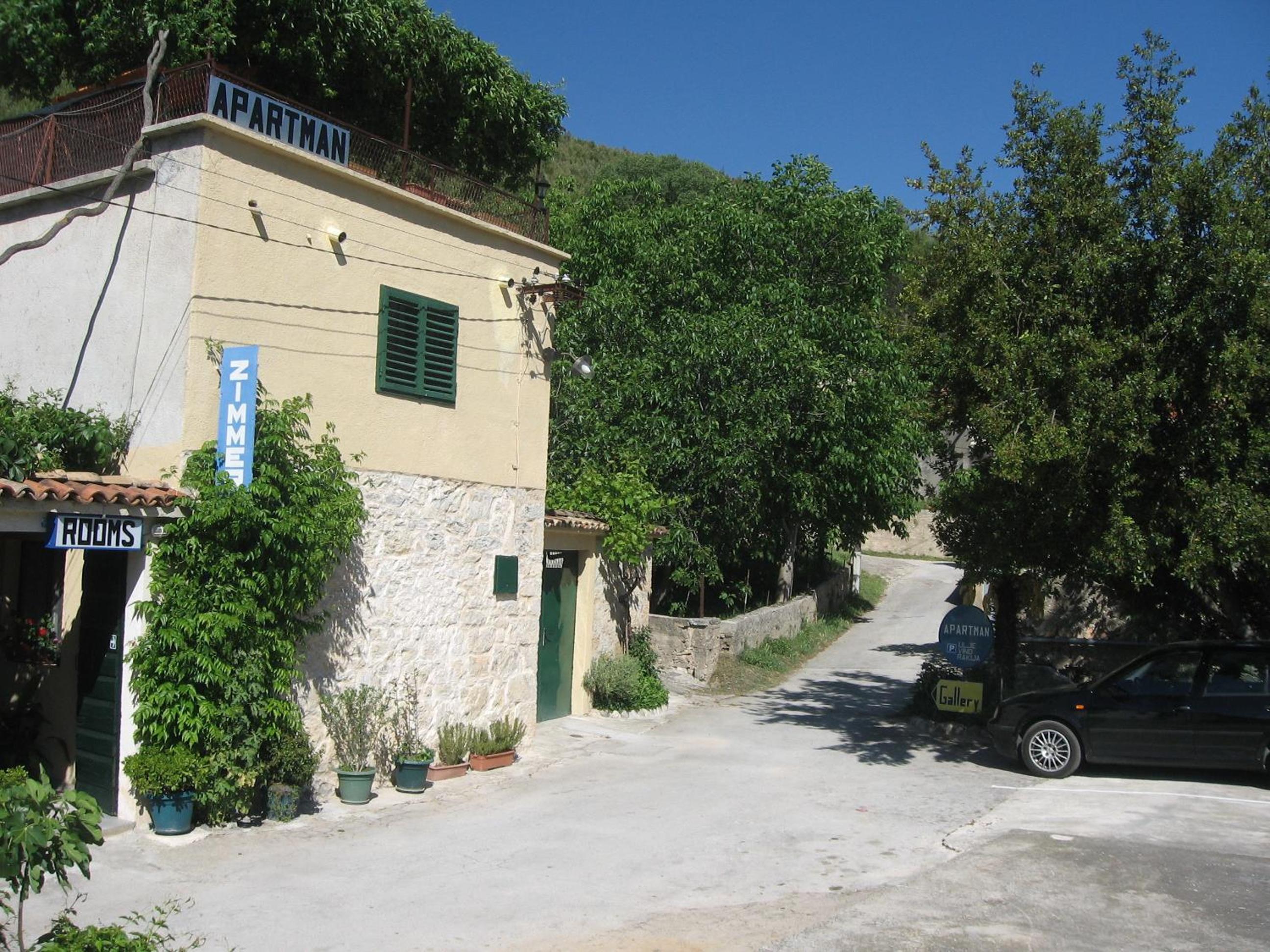 Photo 42
