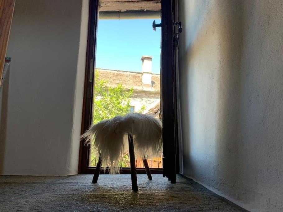 Rustico Lucy