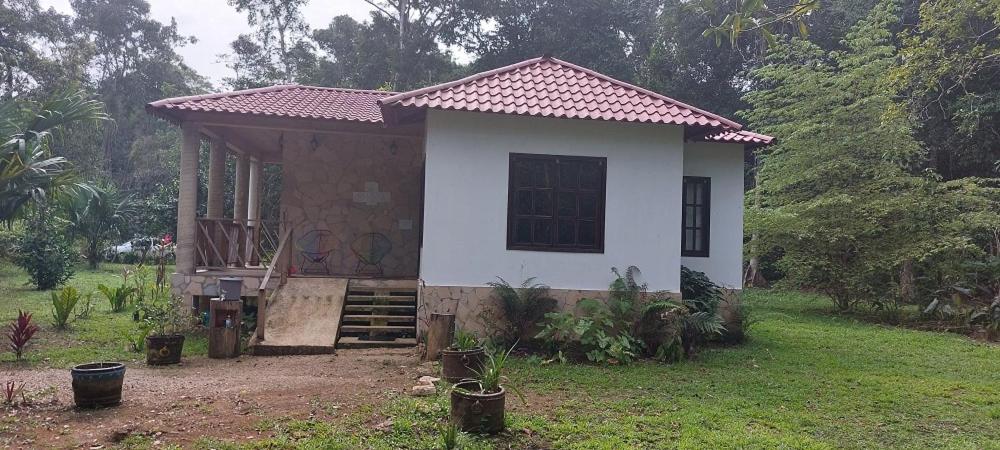 Tu Casa en la Selva Lacandona view 4