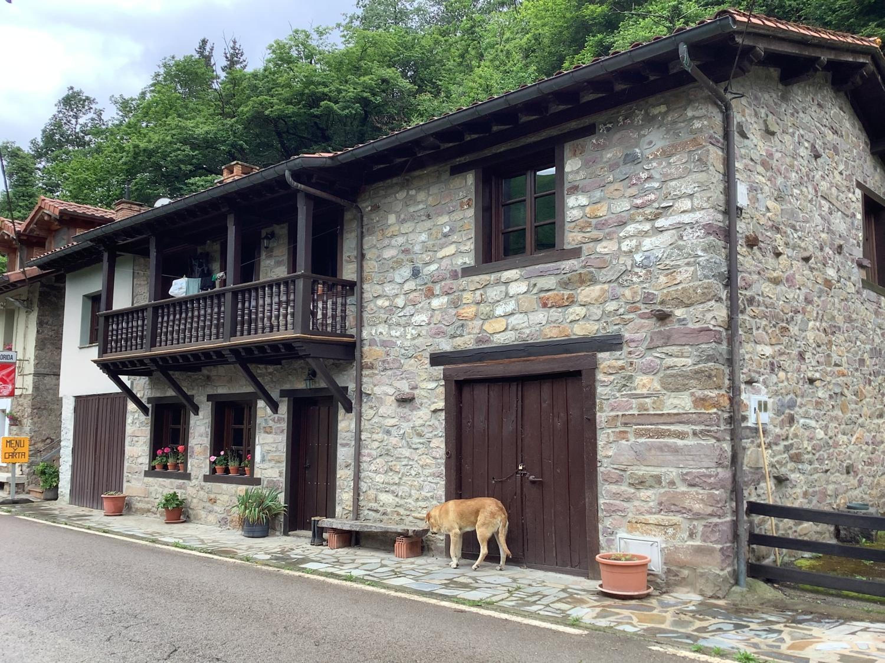 The living mountain - SAJA - CASONA RURAL view 5
