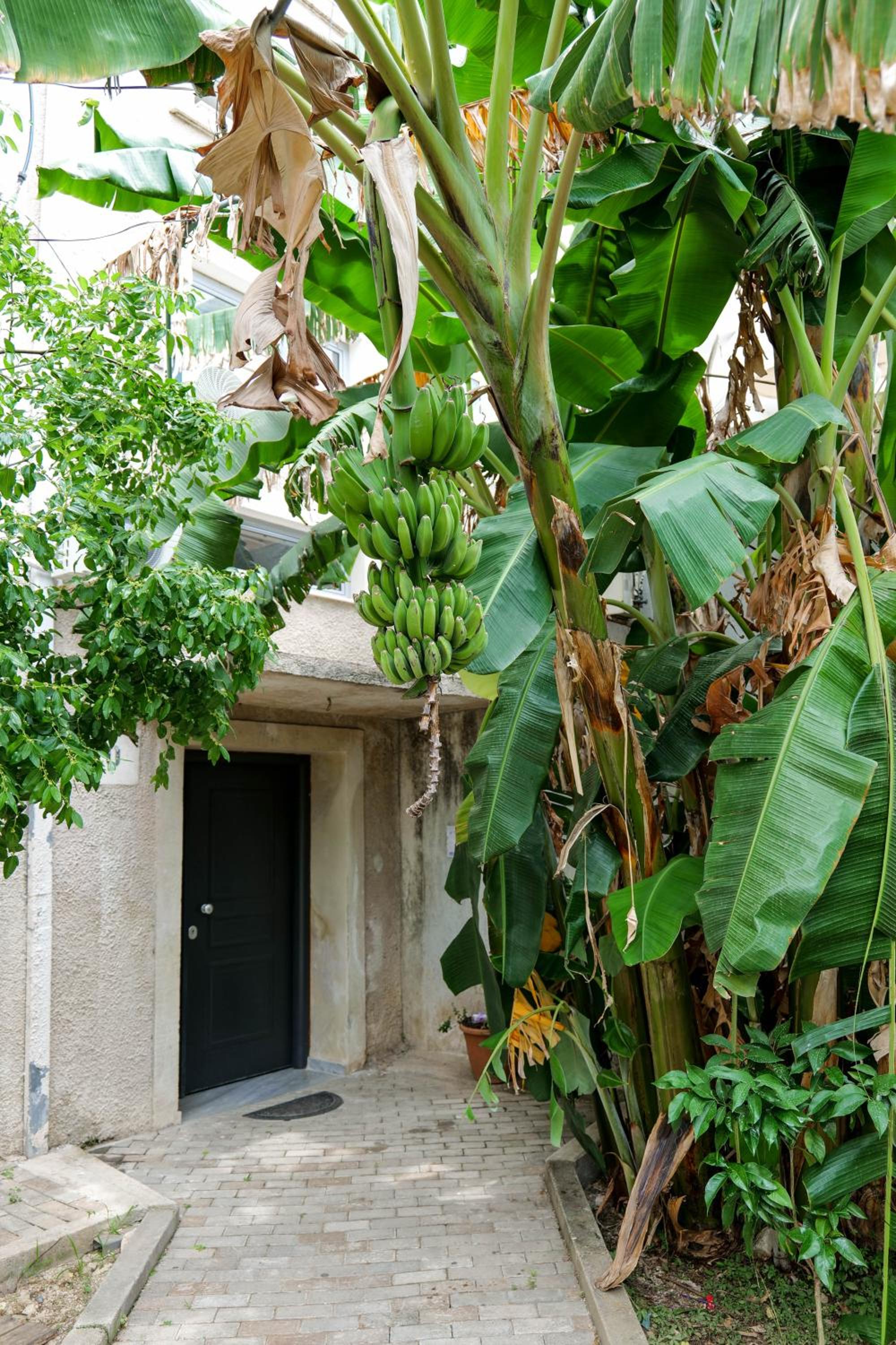 Thimios Rooms