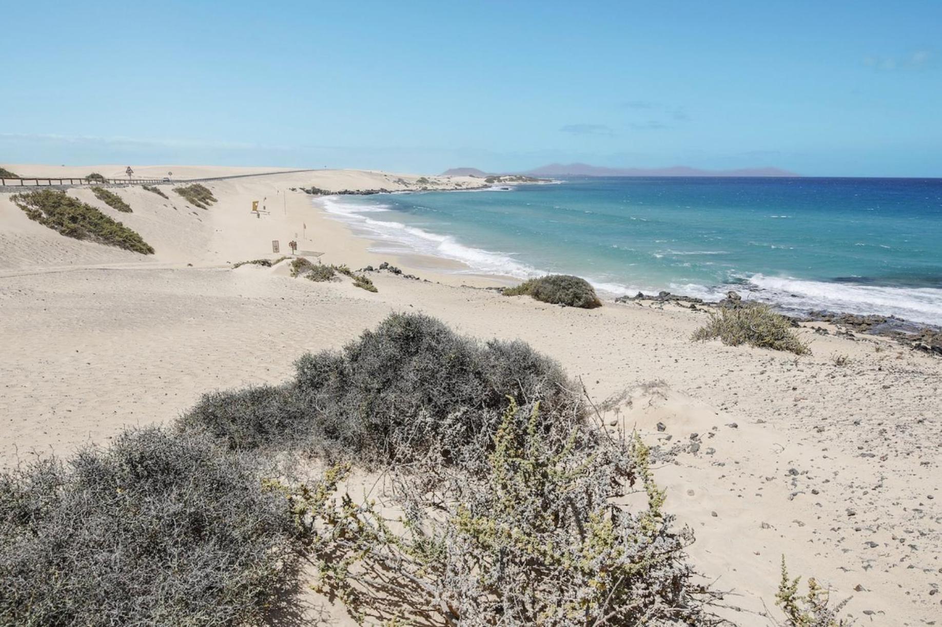 El Cortijo view 5