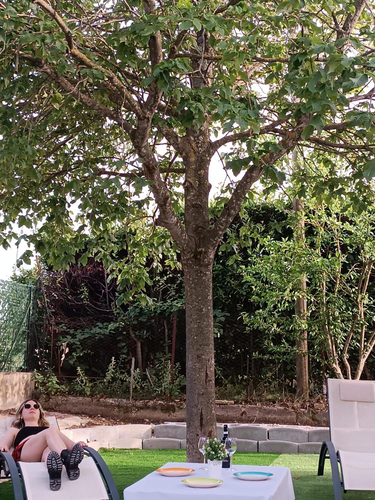 Photo 18