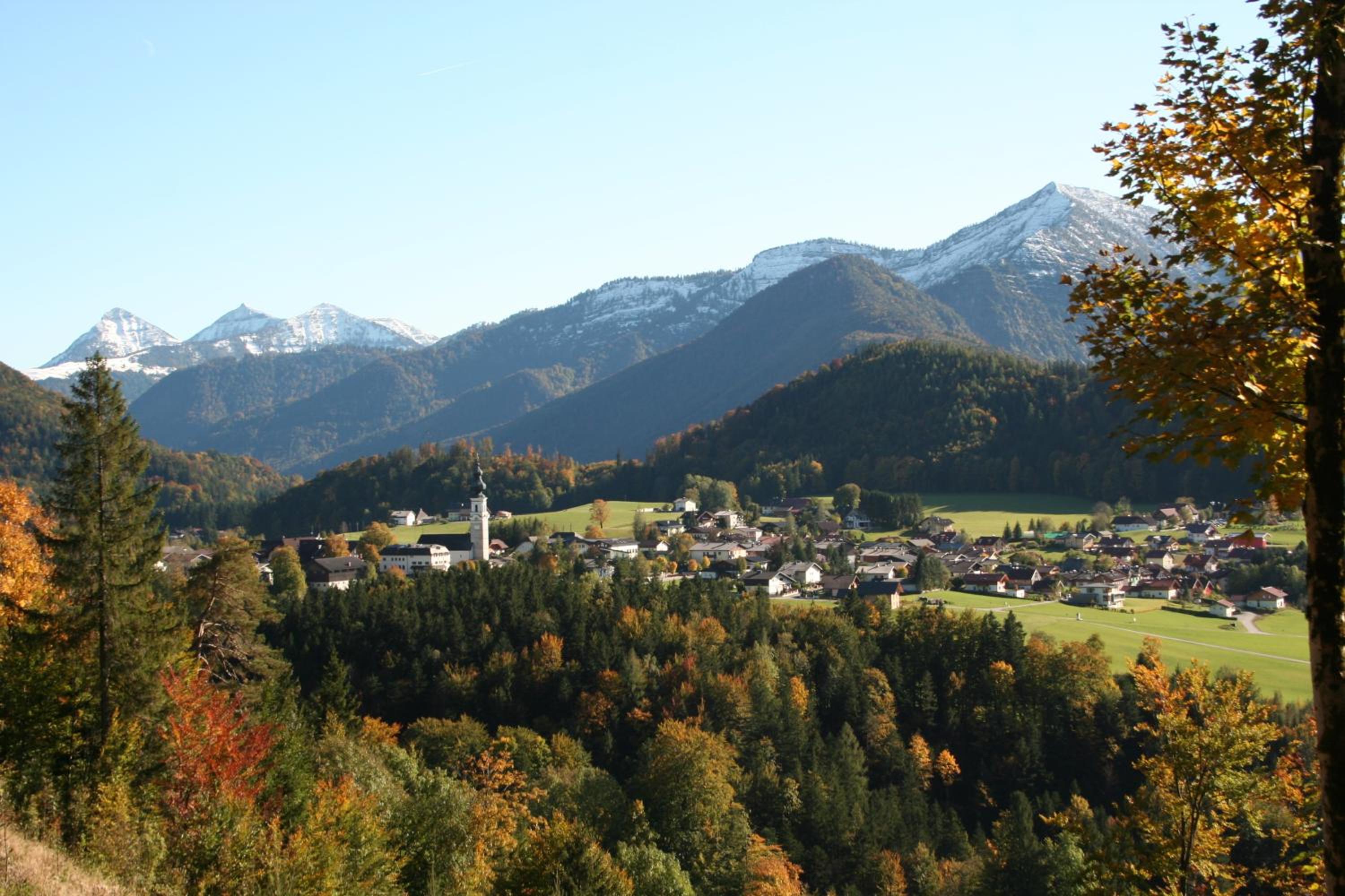 Pension Bayrhammer