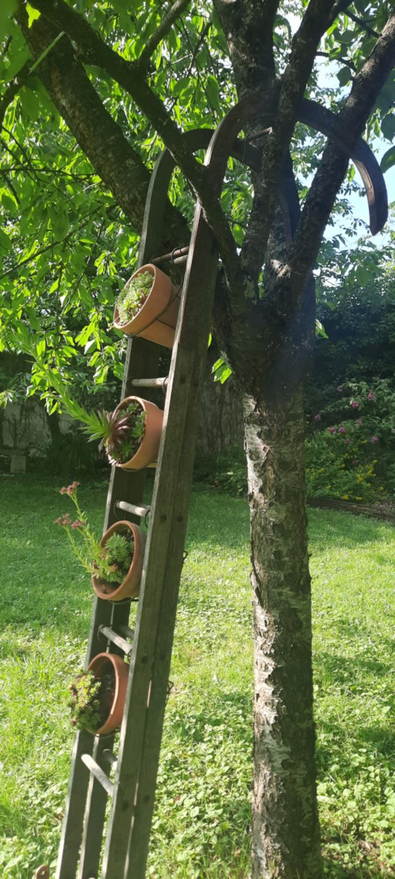 La Petardière, photo 15
