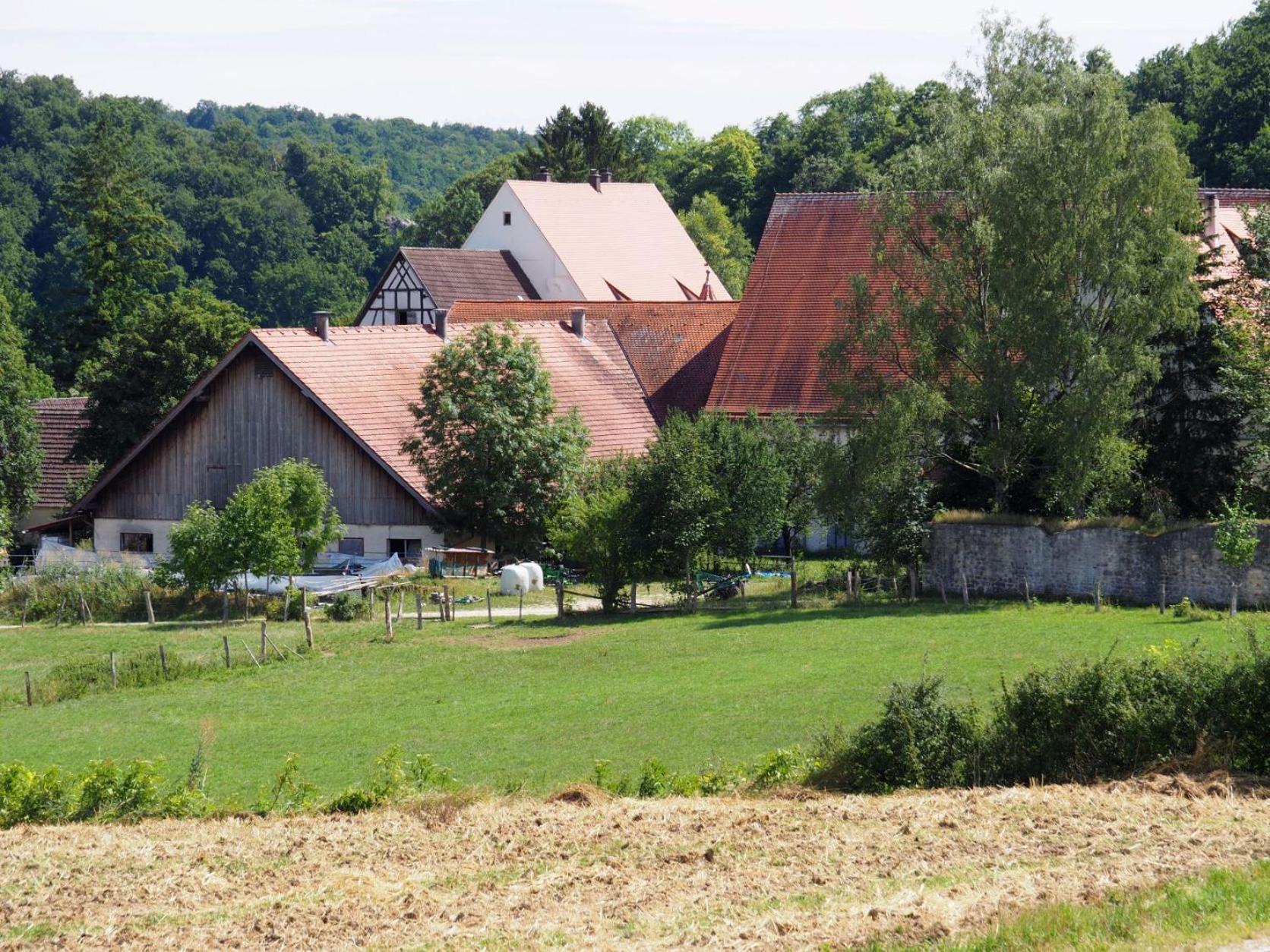 Ferienwohnung Pension Waldblick