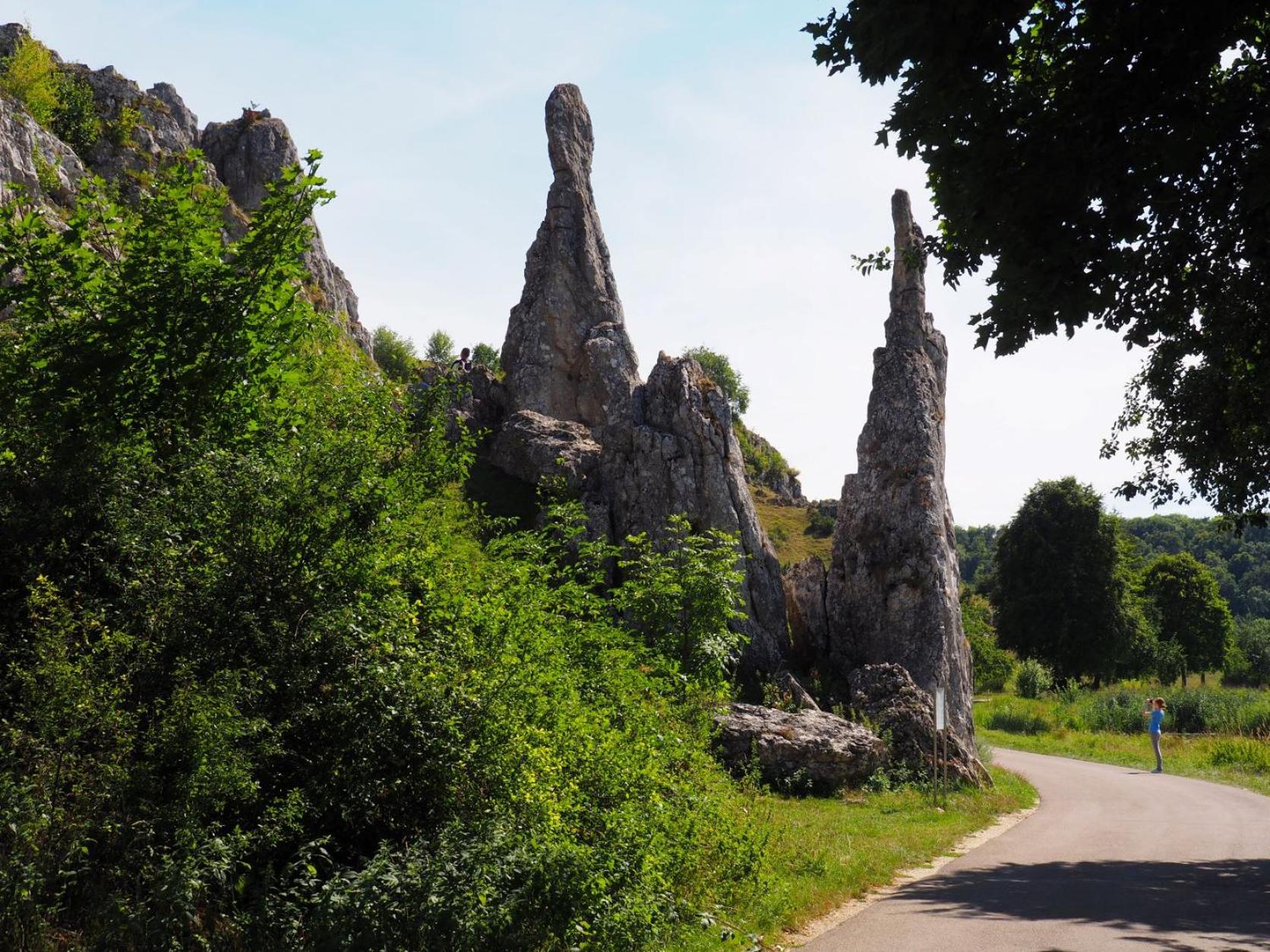 Ferienwohnung Pension Waldblick