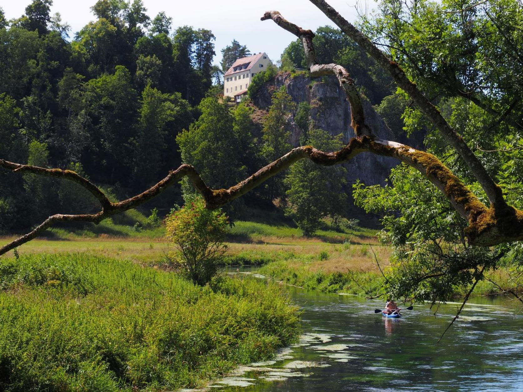 Ferienwohnung Pension Waldblick
