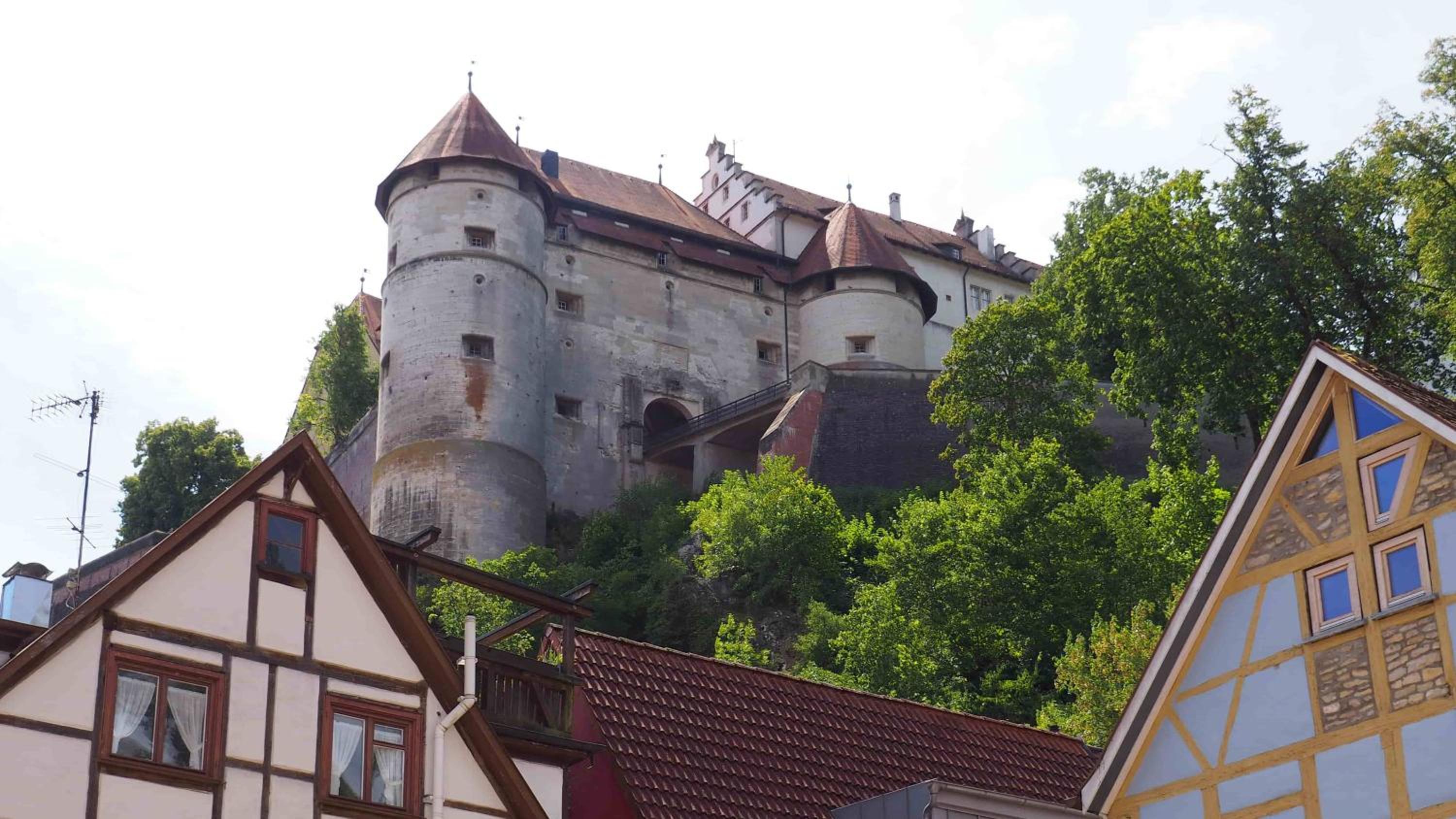 Ferienwohnung Pension Waldblick