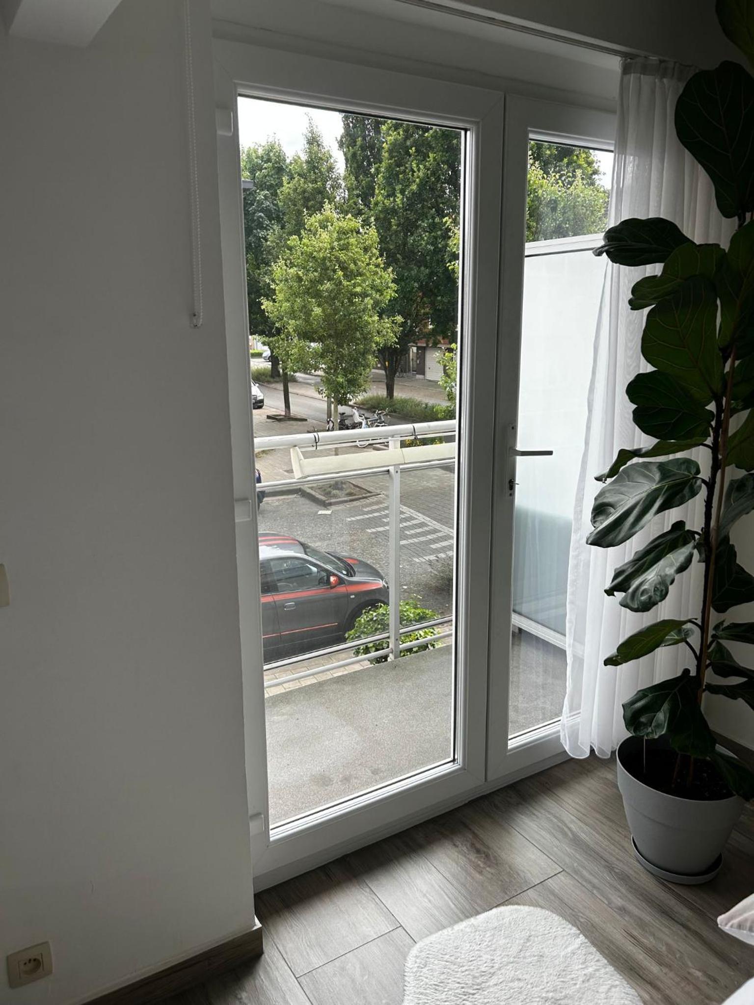Zwarte Arend AirBnB