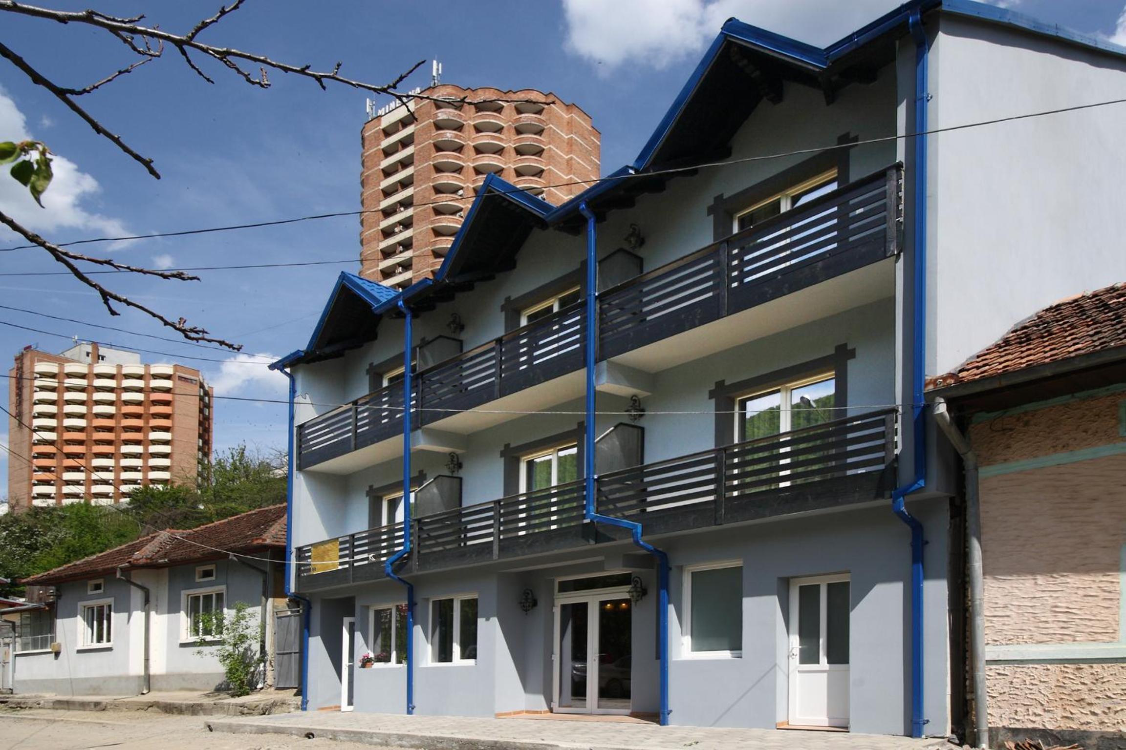 Hotel Pensiunea Floare de Colt - Image 1