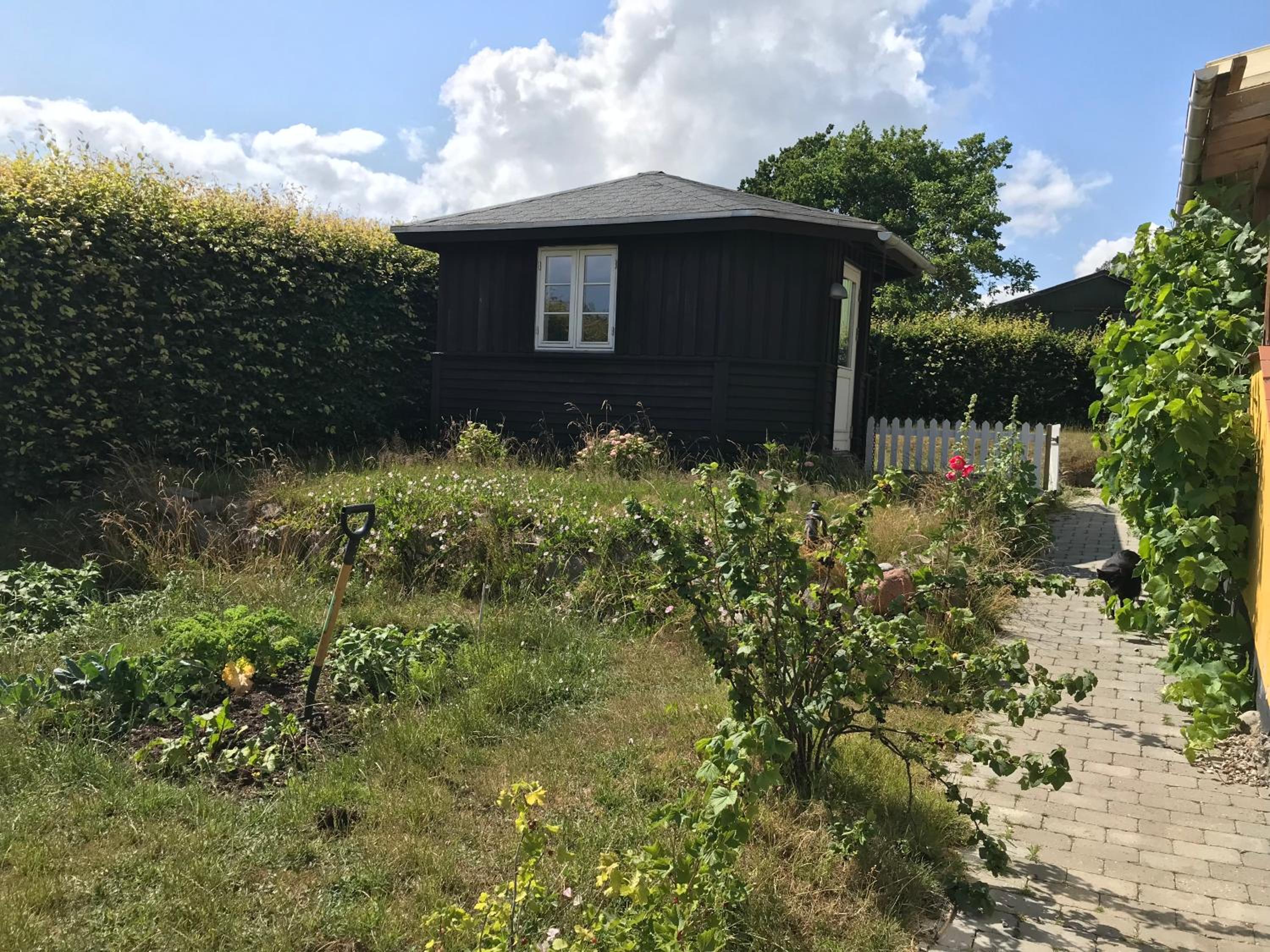Solfryd i Ollerup