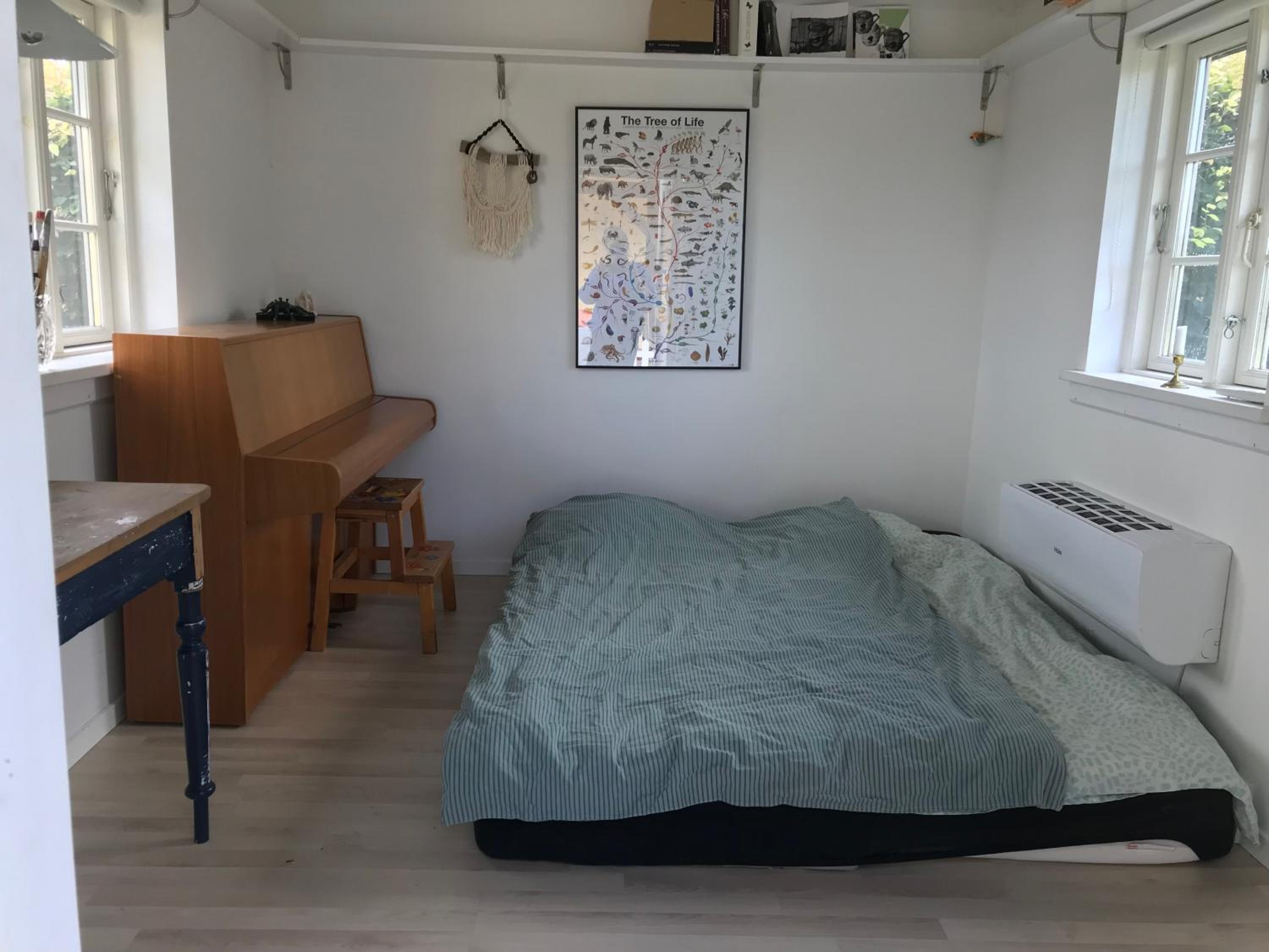 Solfryd i Ollerup