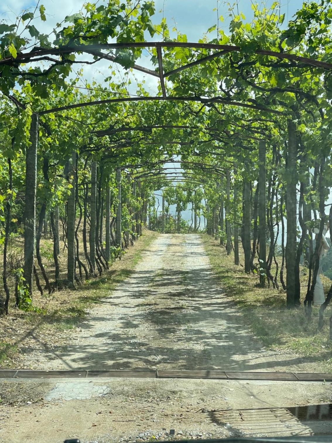 Quinta Vale do Cabo