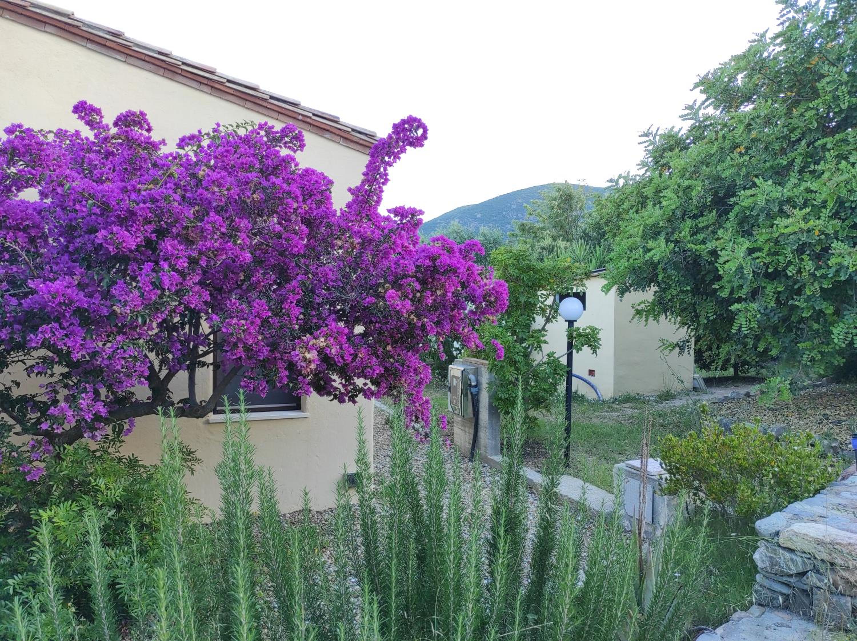 Sa Teria Village - Camere Deluxe - view 3