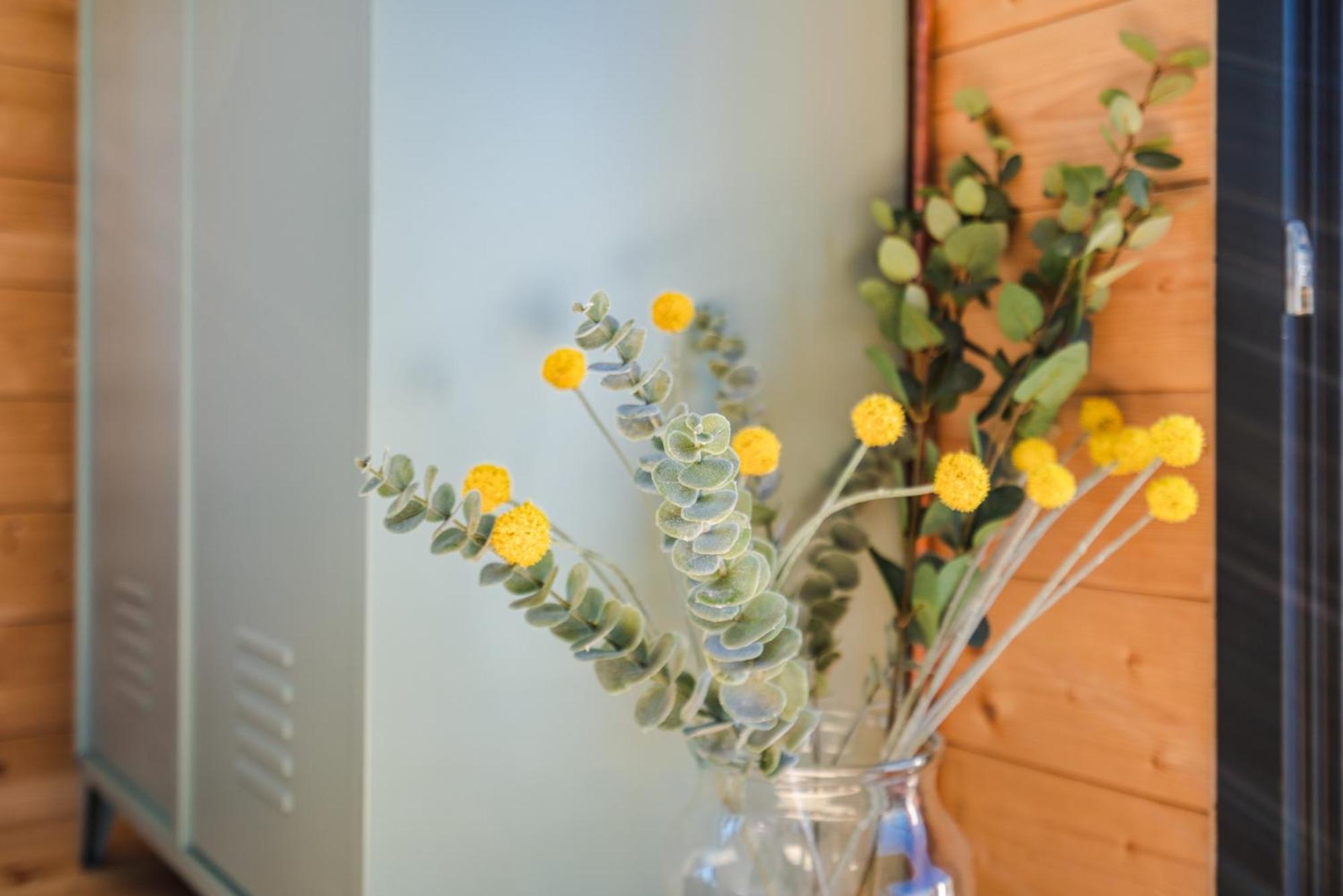 Wunderschönes Hausboot AGATHE