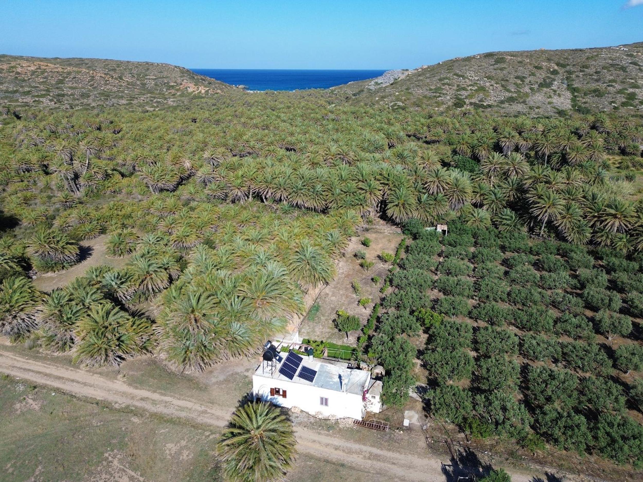 Finikas House