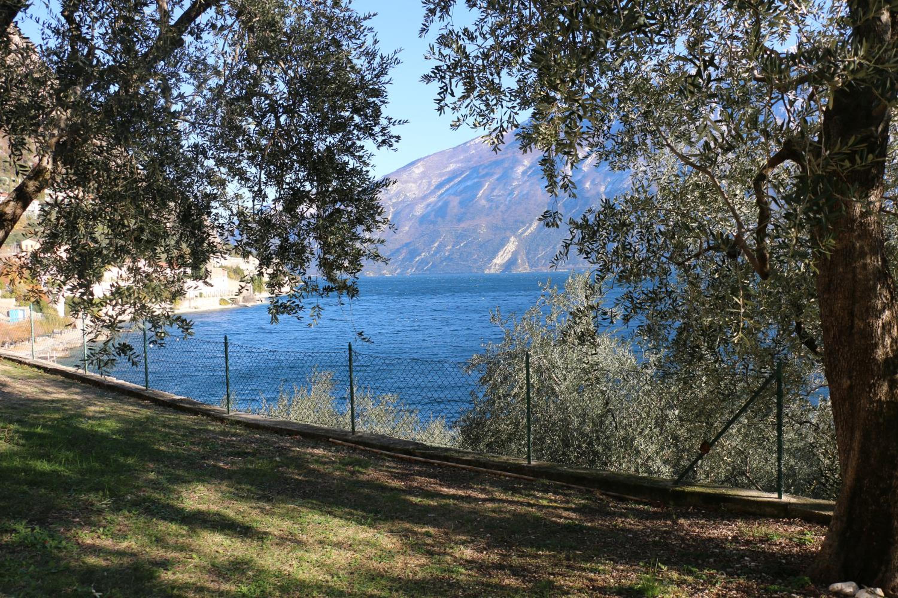 La Casa sul Lago Apartments - Olive Tree Apartment view 2