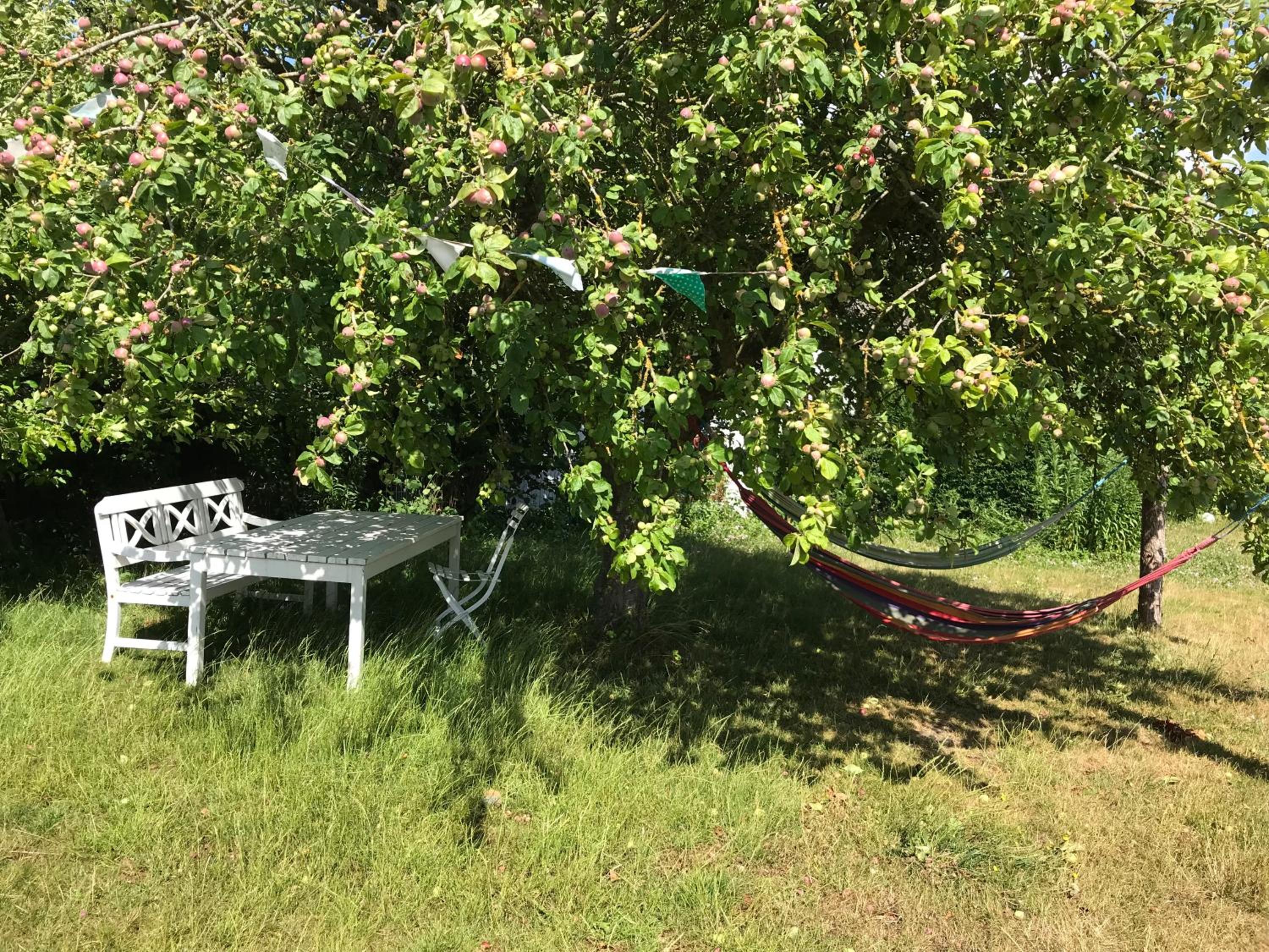 Solfryd i Ollerup