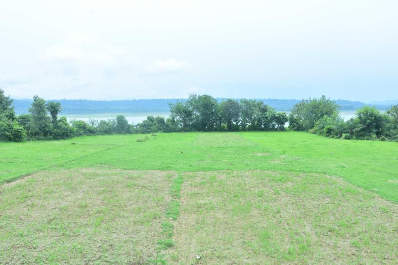 Photo 47