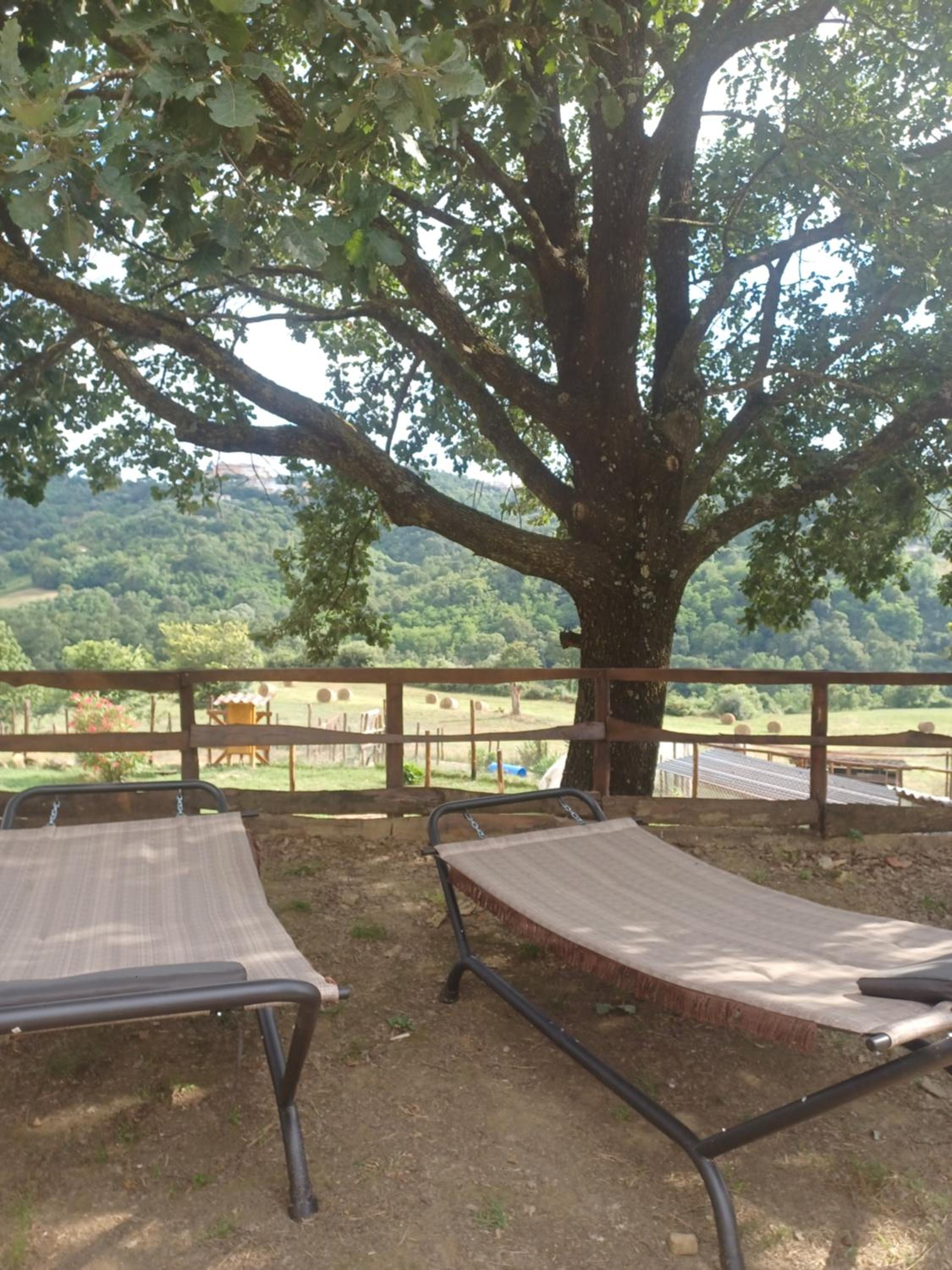 Agriturismo Cisogna