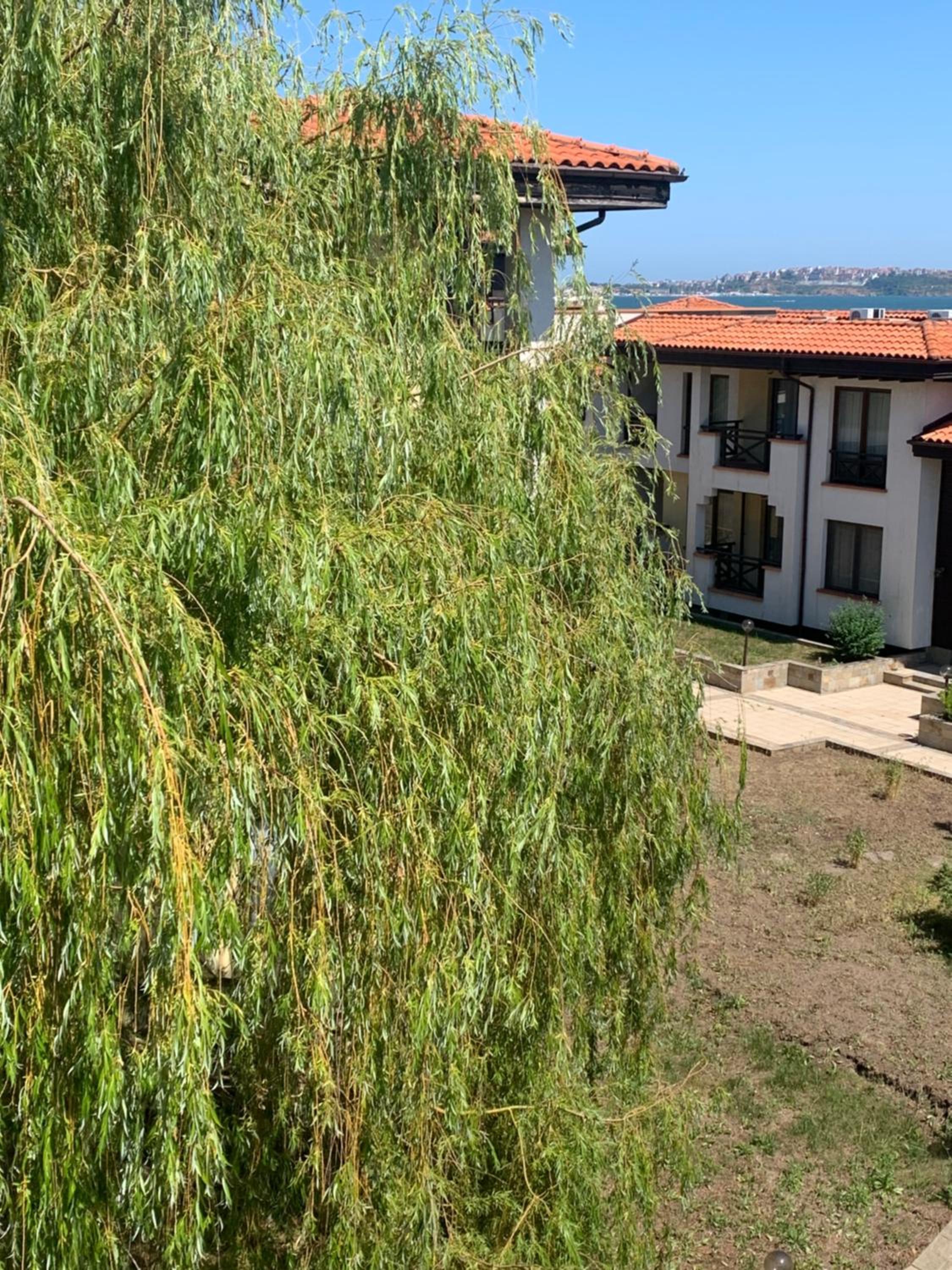 Apartment at St. Nicholas Complex-Igora view 4