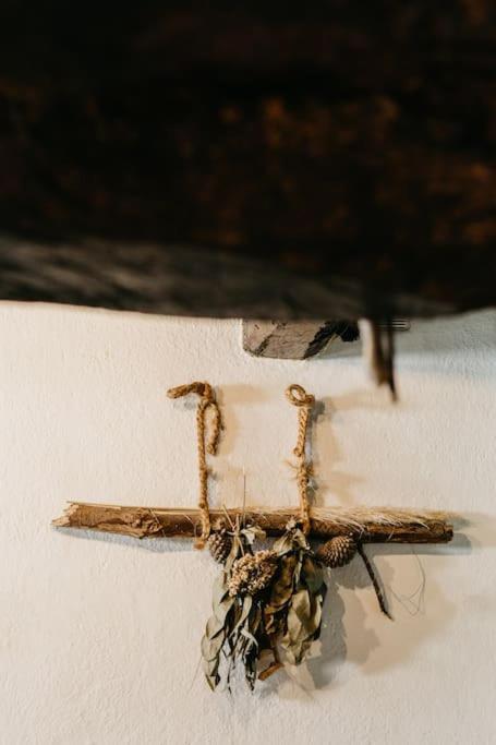 Casa do Cuco - Rural house - Property Image 39