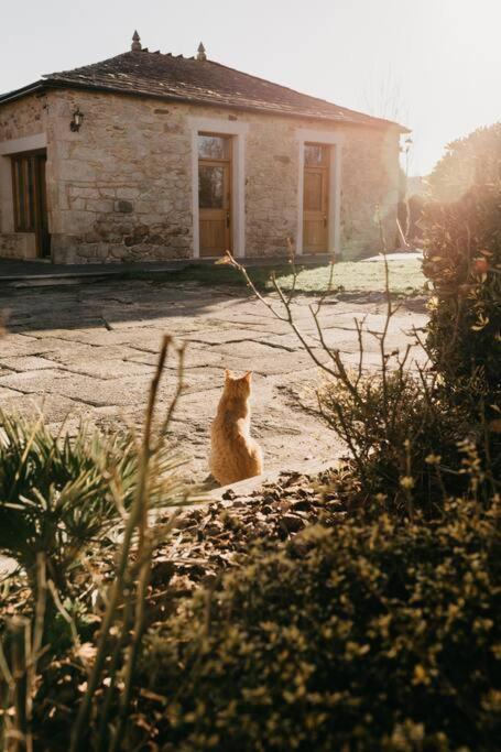 Casa do Cuco - Rural house - Property Image 56