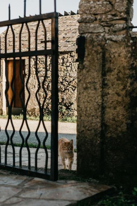 Casa do Cuco - Rural house - Property Image 68