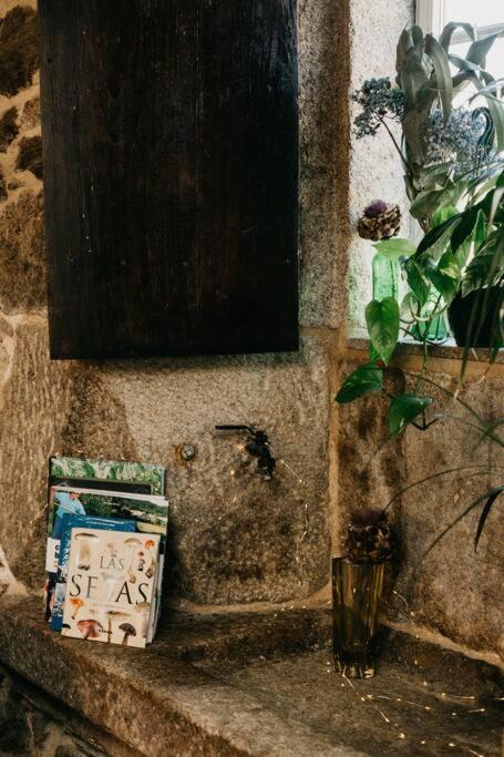 Casa do Cuco - Rural house - Property Image 74