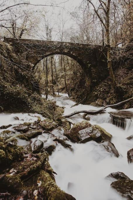 Casa do Cuco - Rural house - Property Image 77
