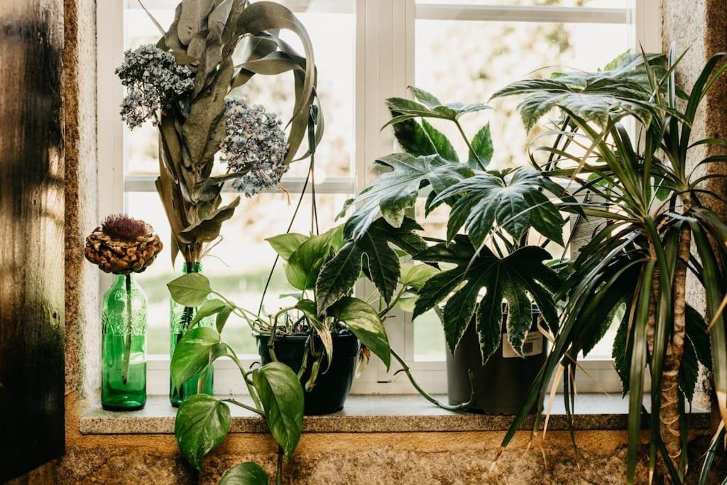 Casa do Cuco - Rural house - Property Image 78