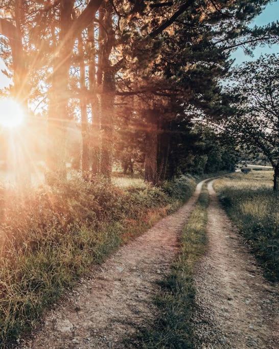 Casa do Cuco - Rural house - Property Image 90