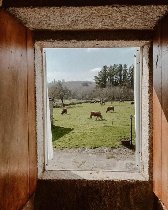 Casa do Cuco - Rural house - Property Image 98