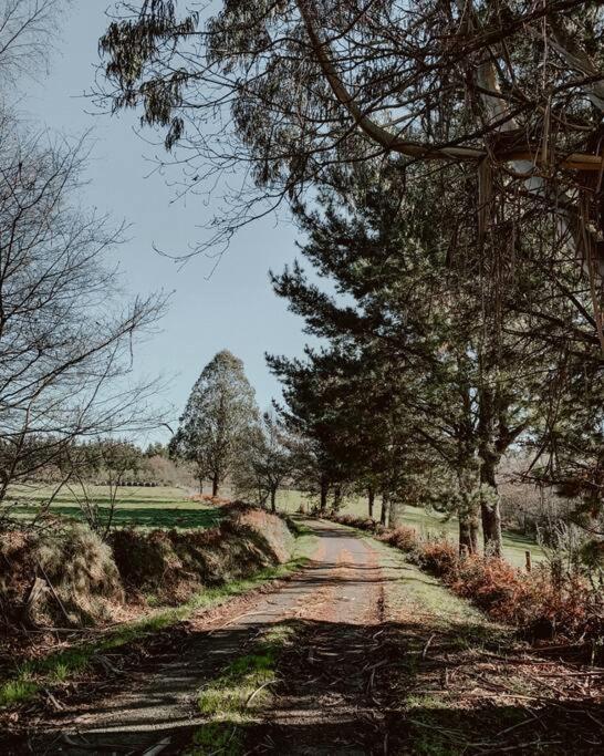Casa do Cuco - Rural house - Property Image 101