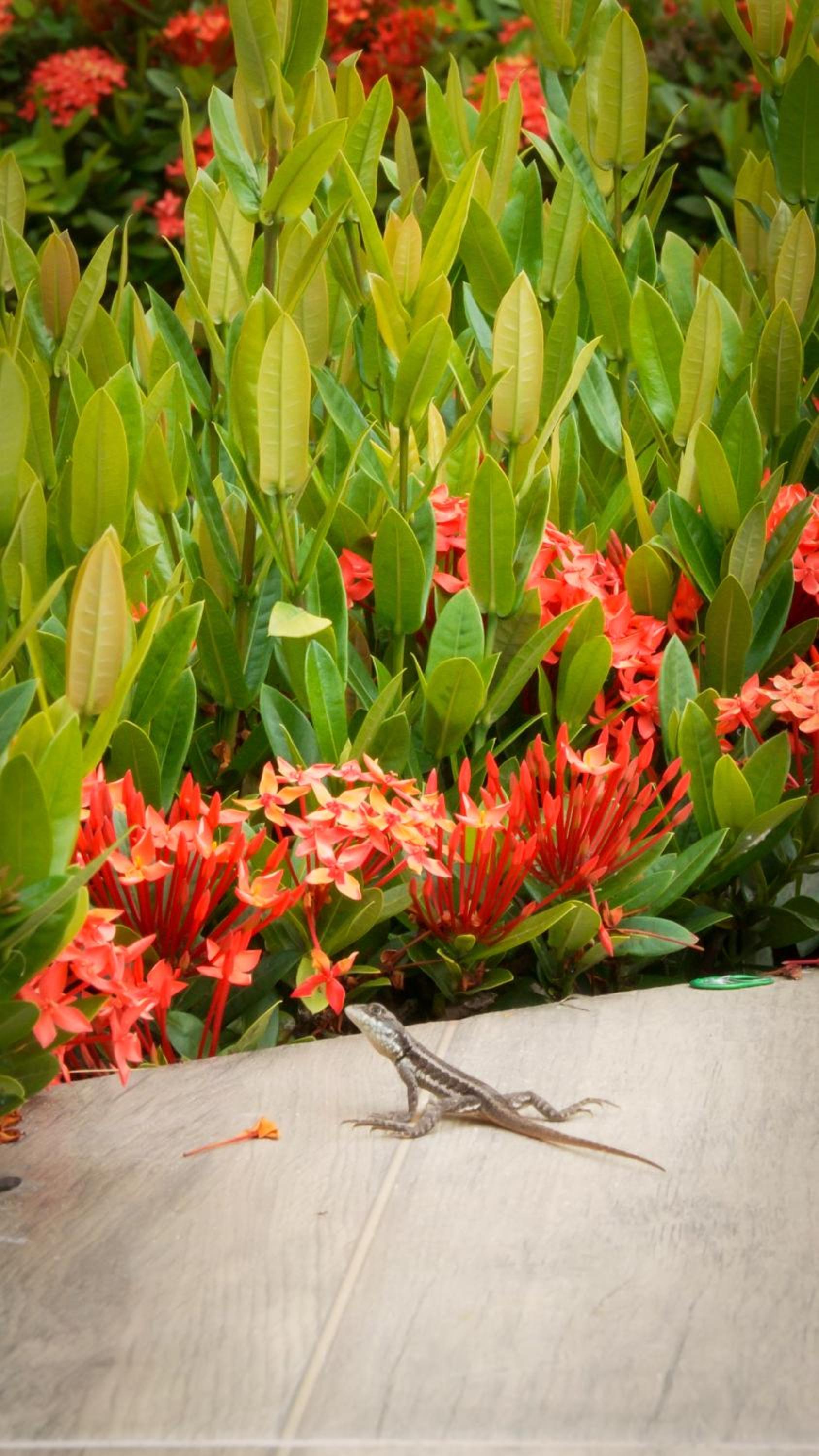 Bem Bahia Hotel - Rede Bem Bahia