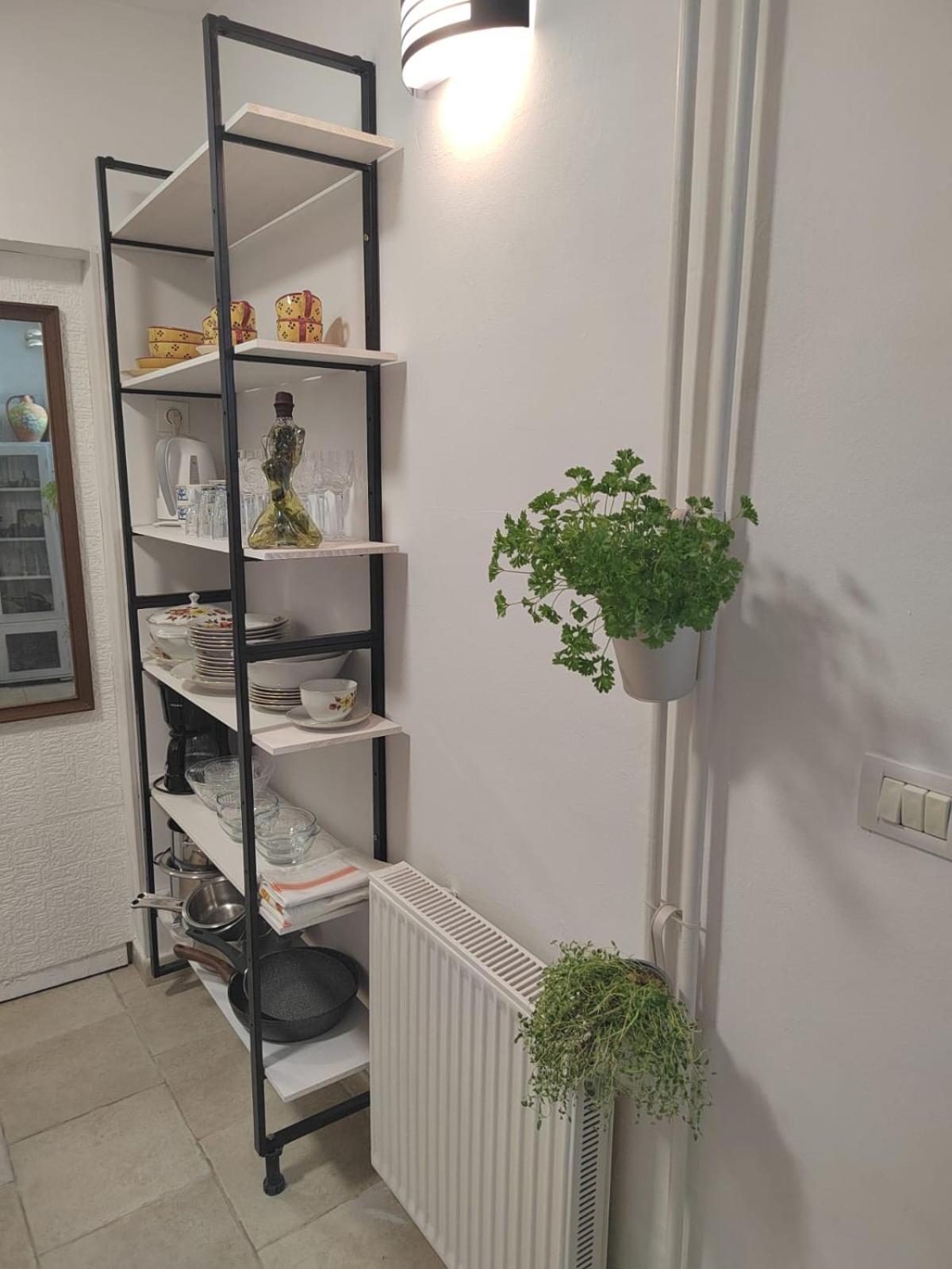 Apartman Brioni