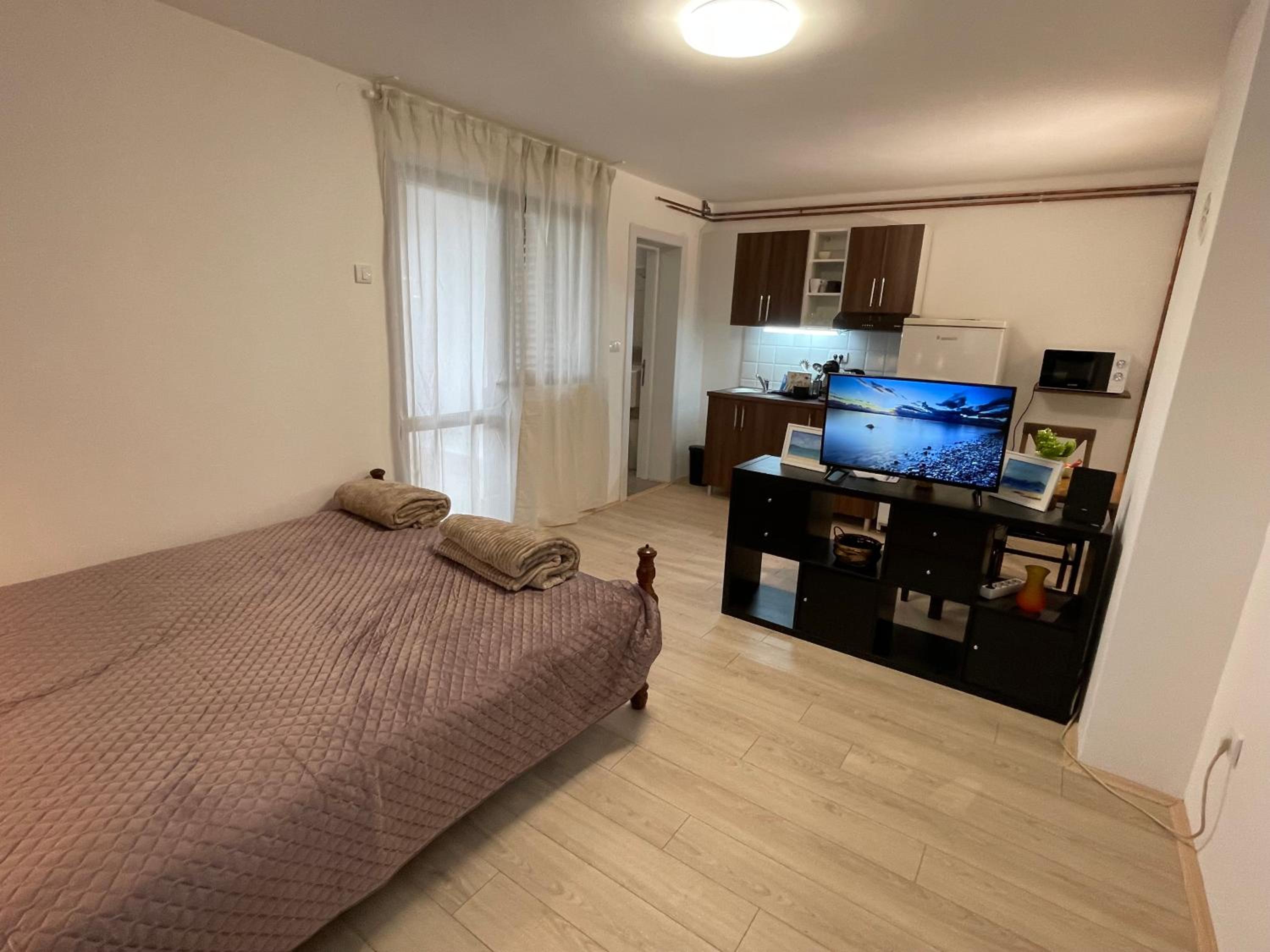 Smeštaj Nedić Karaula view 5