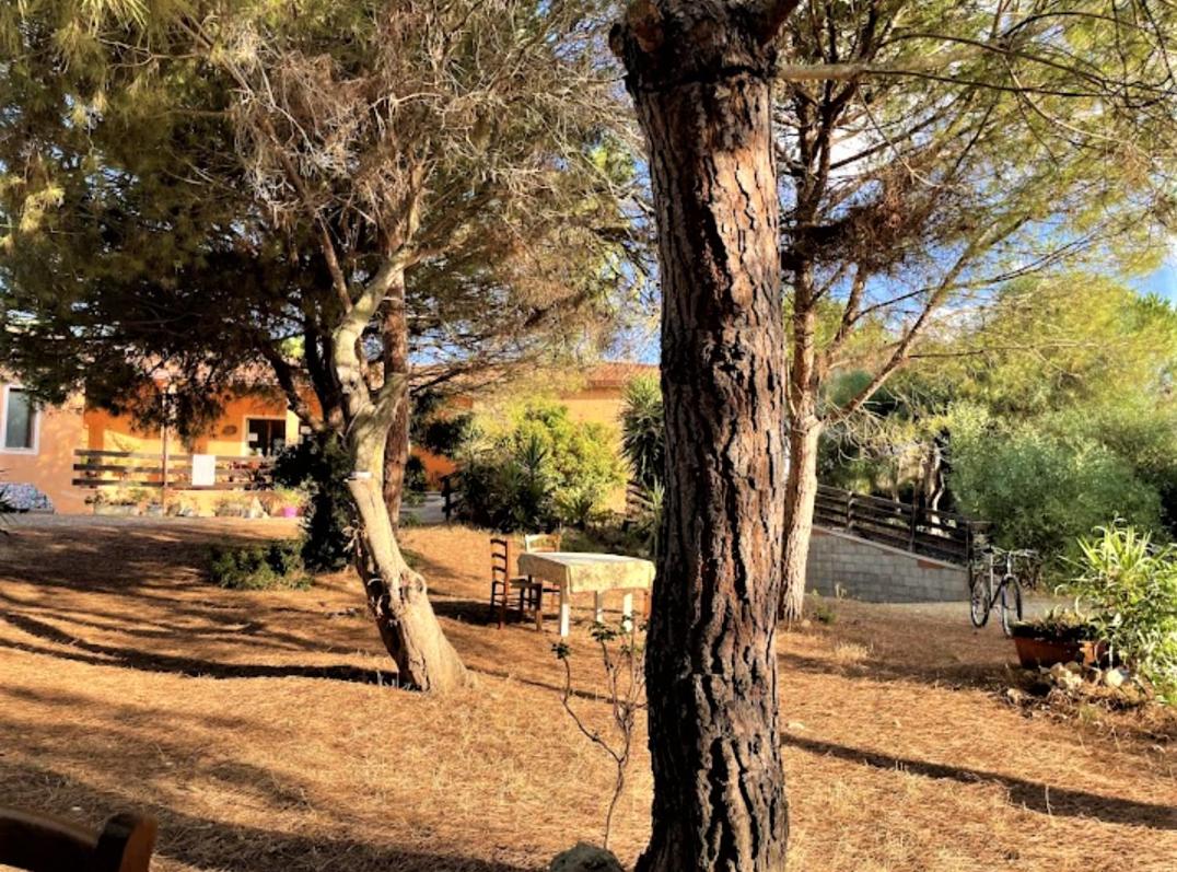 Il Lentischio del Sinis view 2