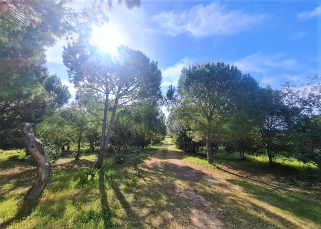Il Lentischio del Sinis view 4