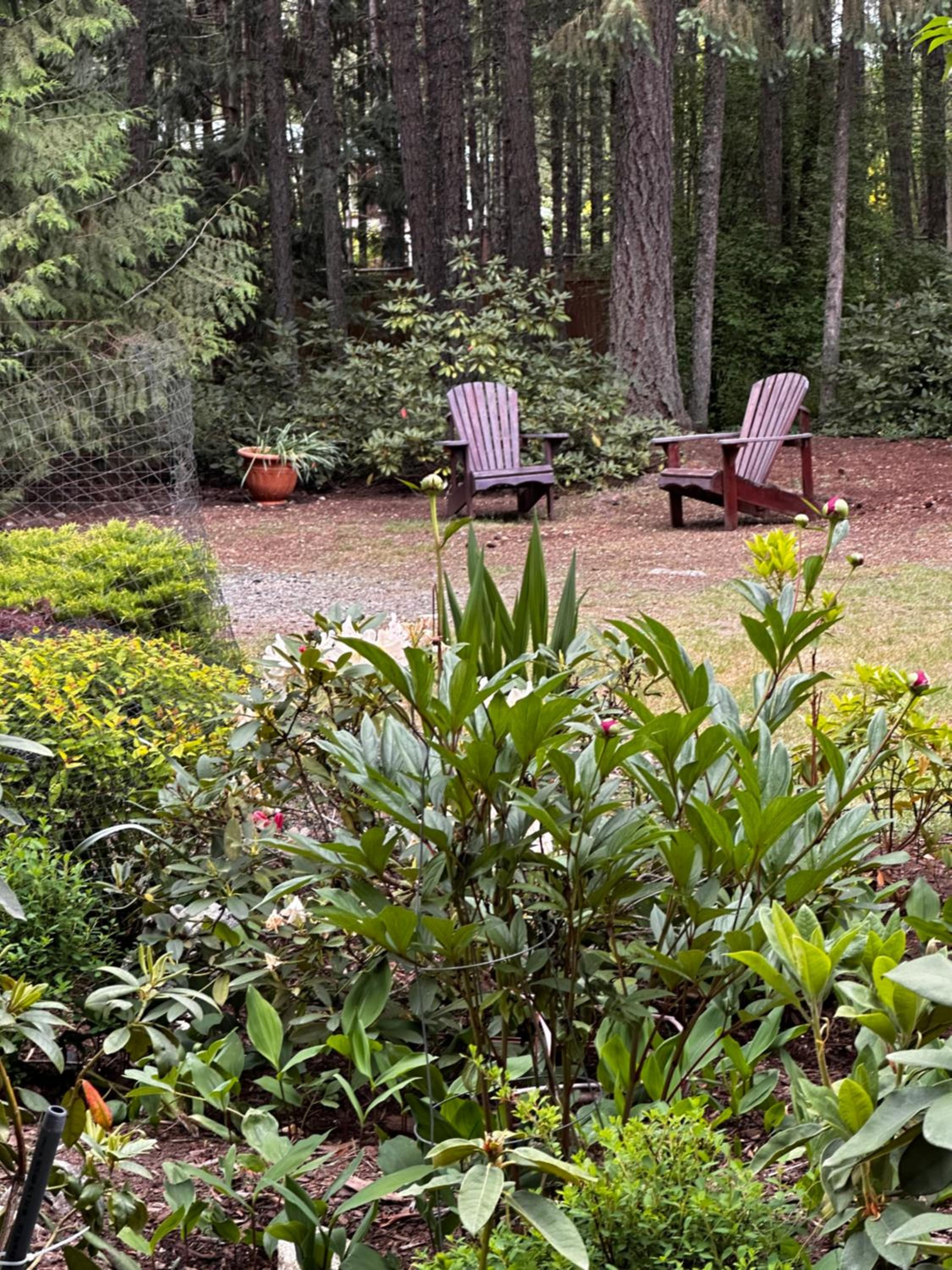 Cedar Song B&B