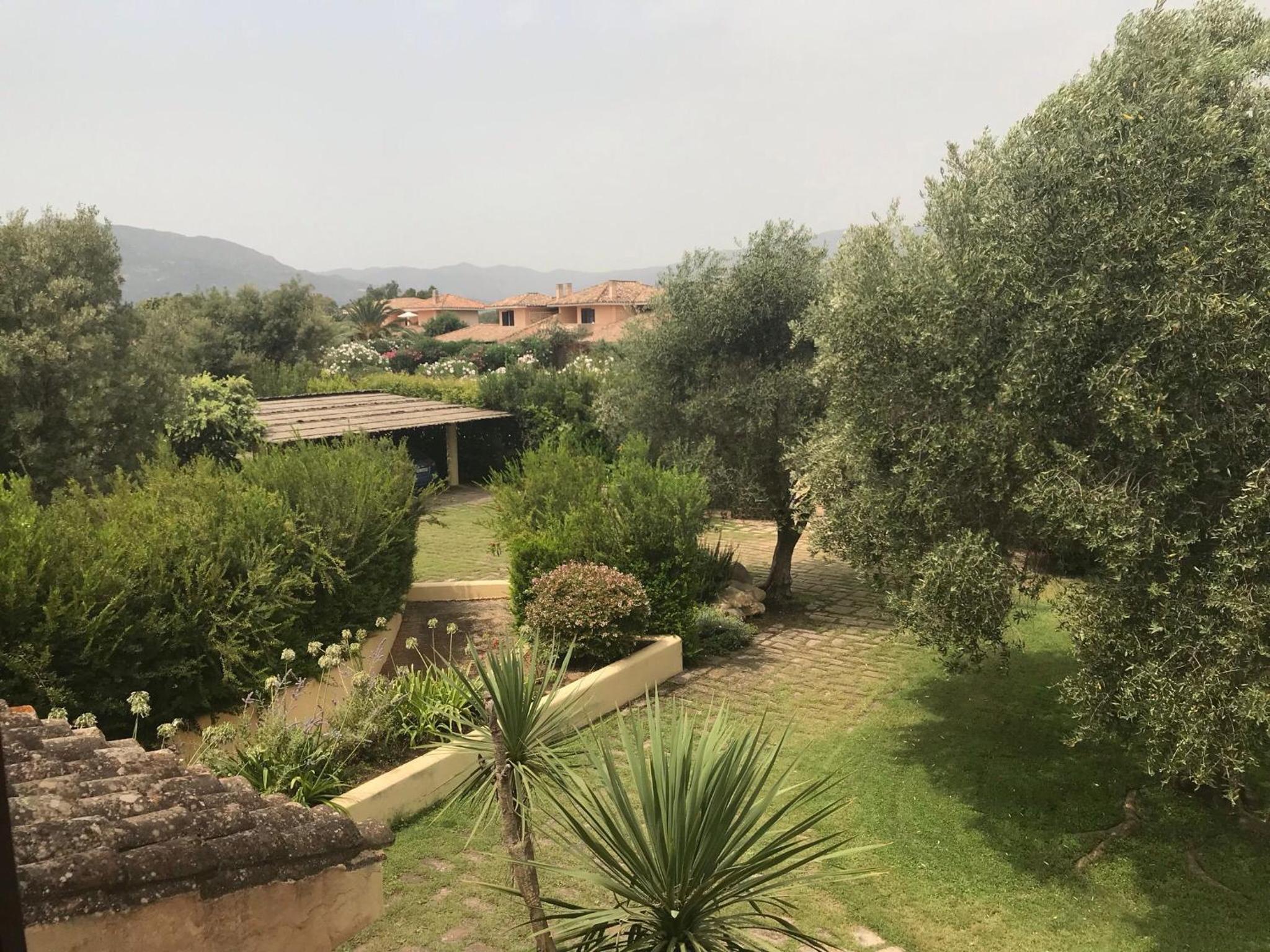 Villa Degli Olivi view 5