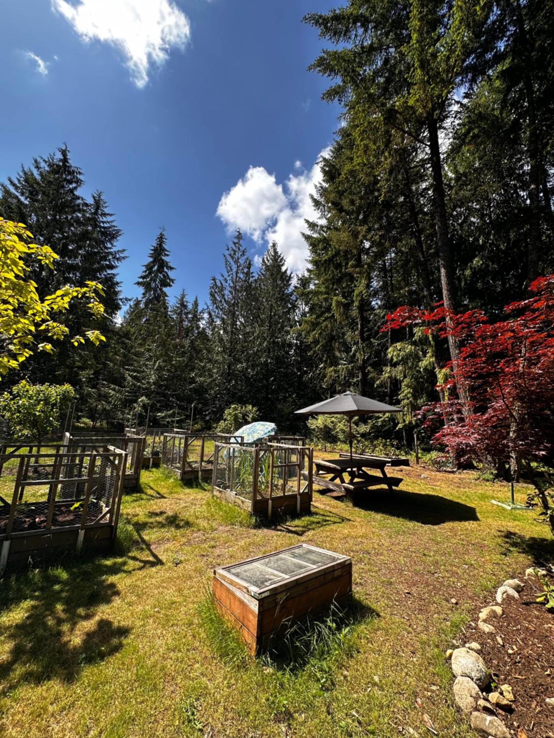 Cedar Song B&B